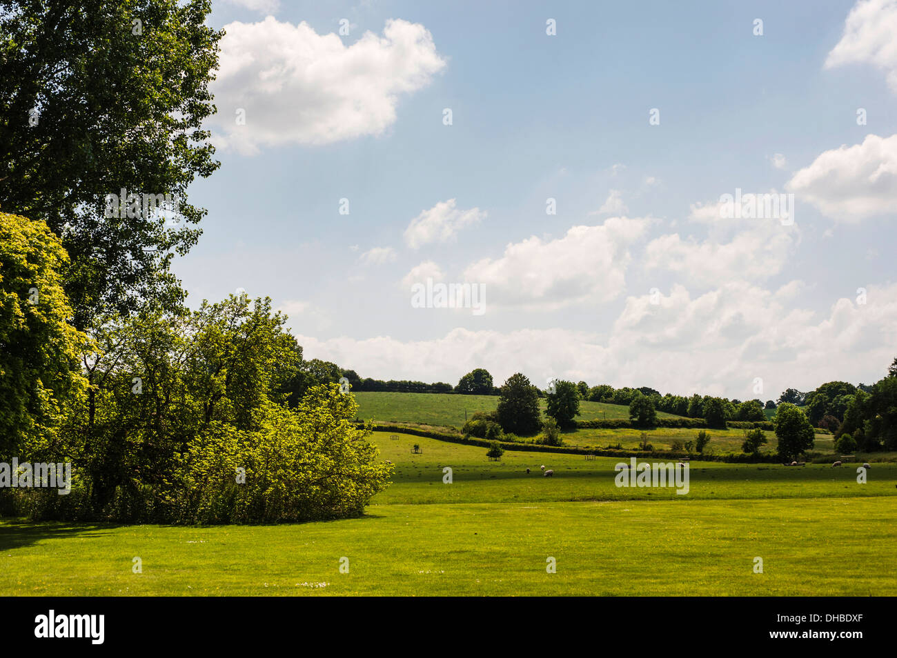 Meadow, view across typical English country landscape. Stock Photo