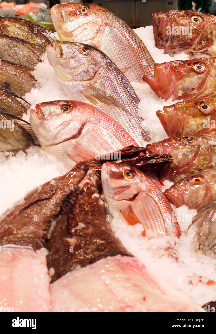 Spanish Fish Types Different fish species hi-res stock photography and images - Alamy