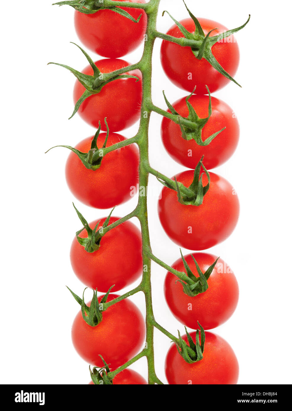 Red Cherry Tomatoes on the vine isolated on white background Stock ...