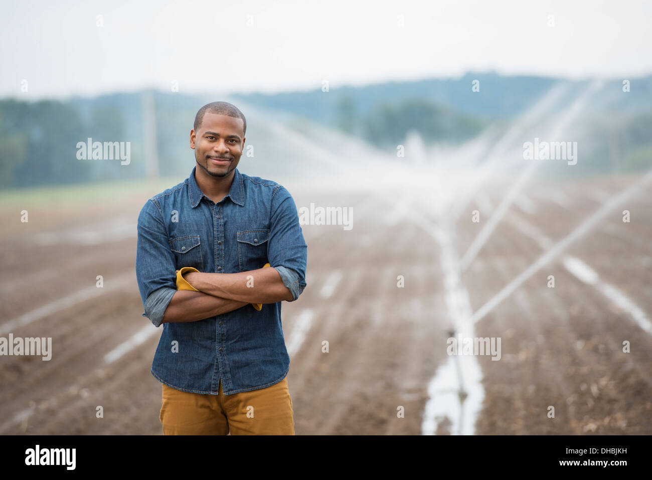 An organic vegetable farm, with water sprinklers irrigating the fields. A man in working clothes. Stock Photo