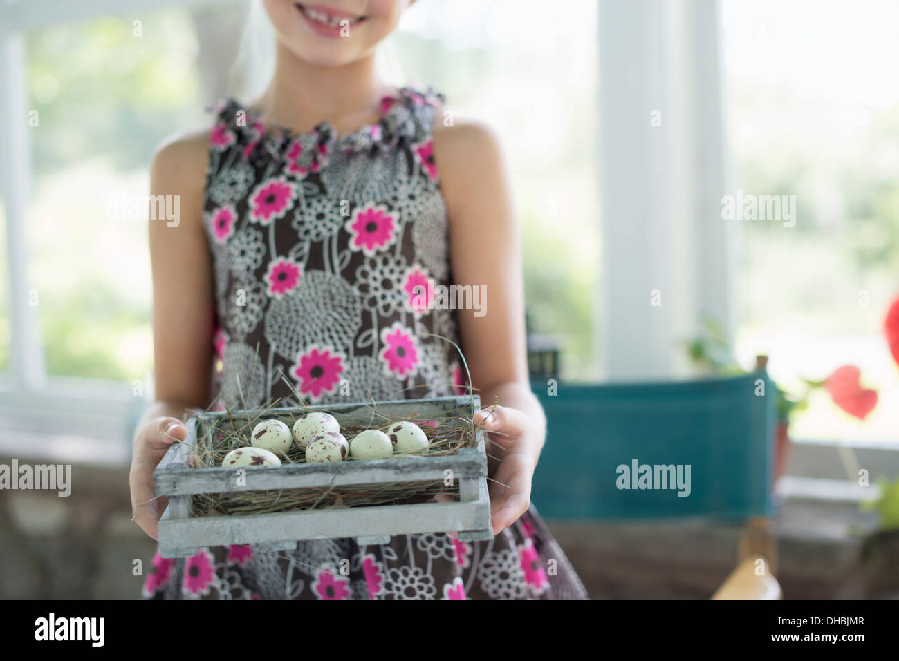 A young girl in a floral dress, examining a clutch of speckled bird eggs in a box. Stock Photo