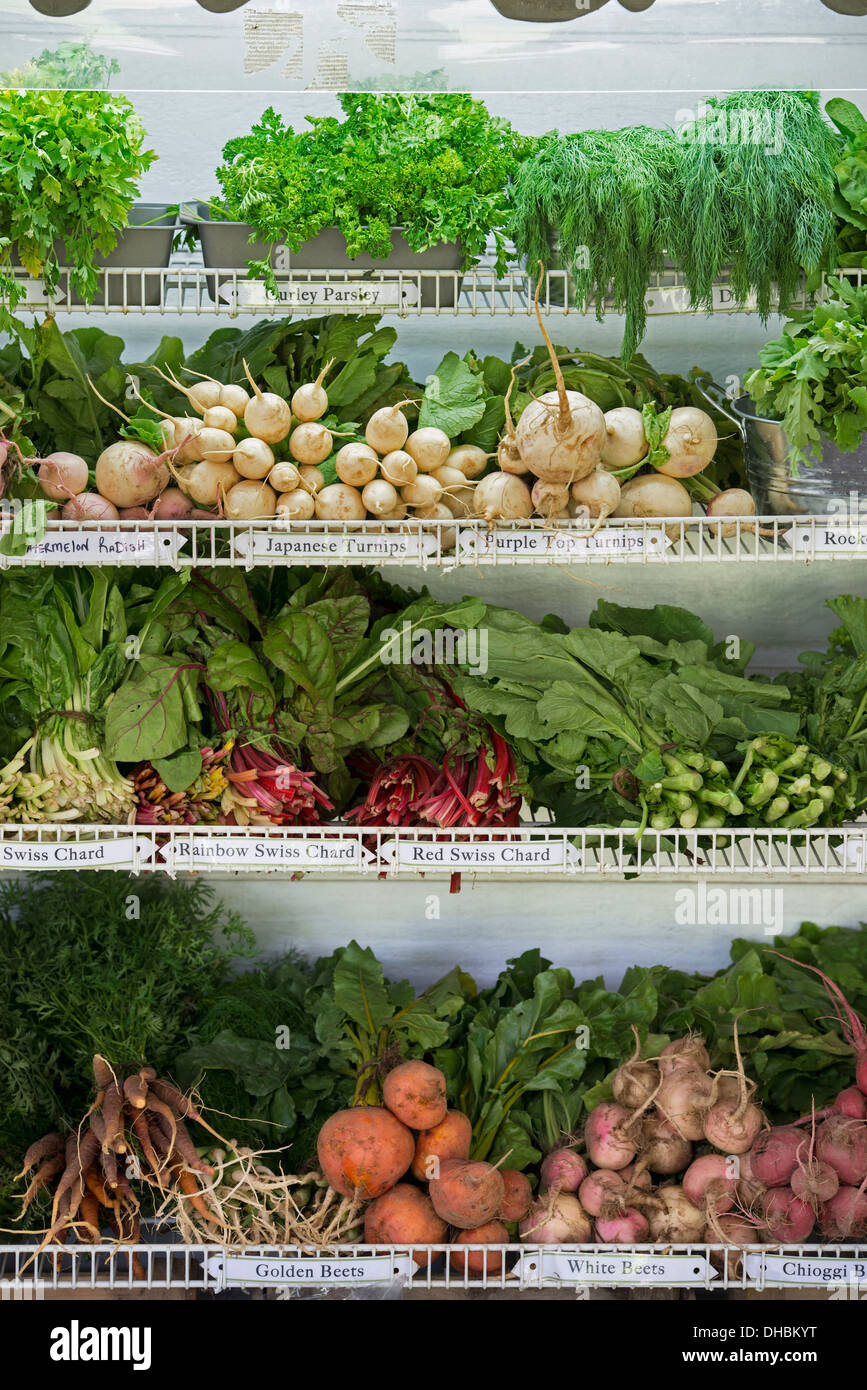 Root vegetables farm hi-res stock photography and images - Alamy