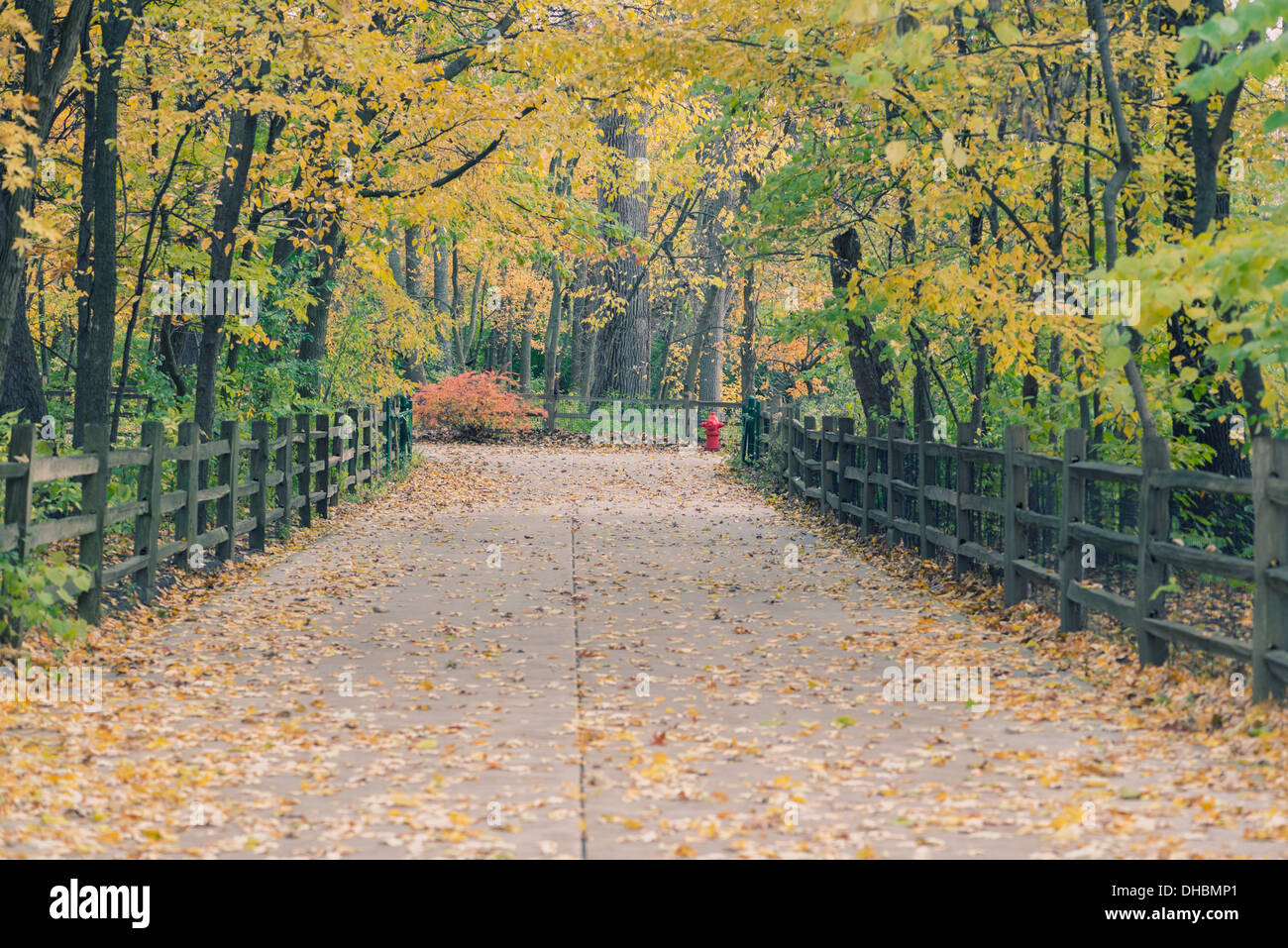Paved bike trail in the park. Cross Processed film Stock Photo Alamy