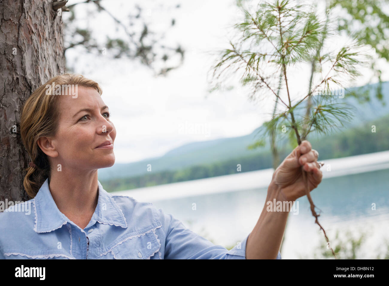 A woman standing among the trees on the shore of a lake in New York state. Stock Photo