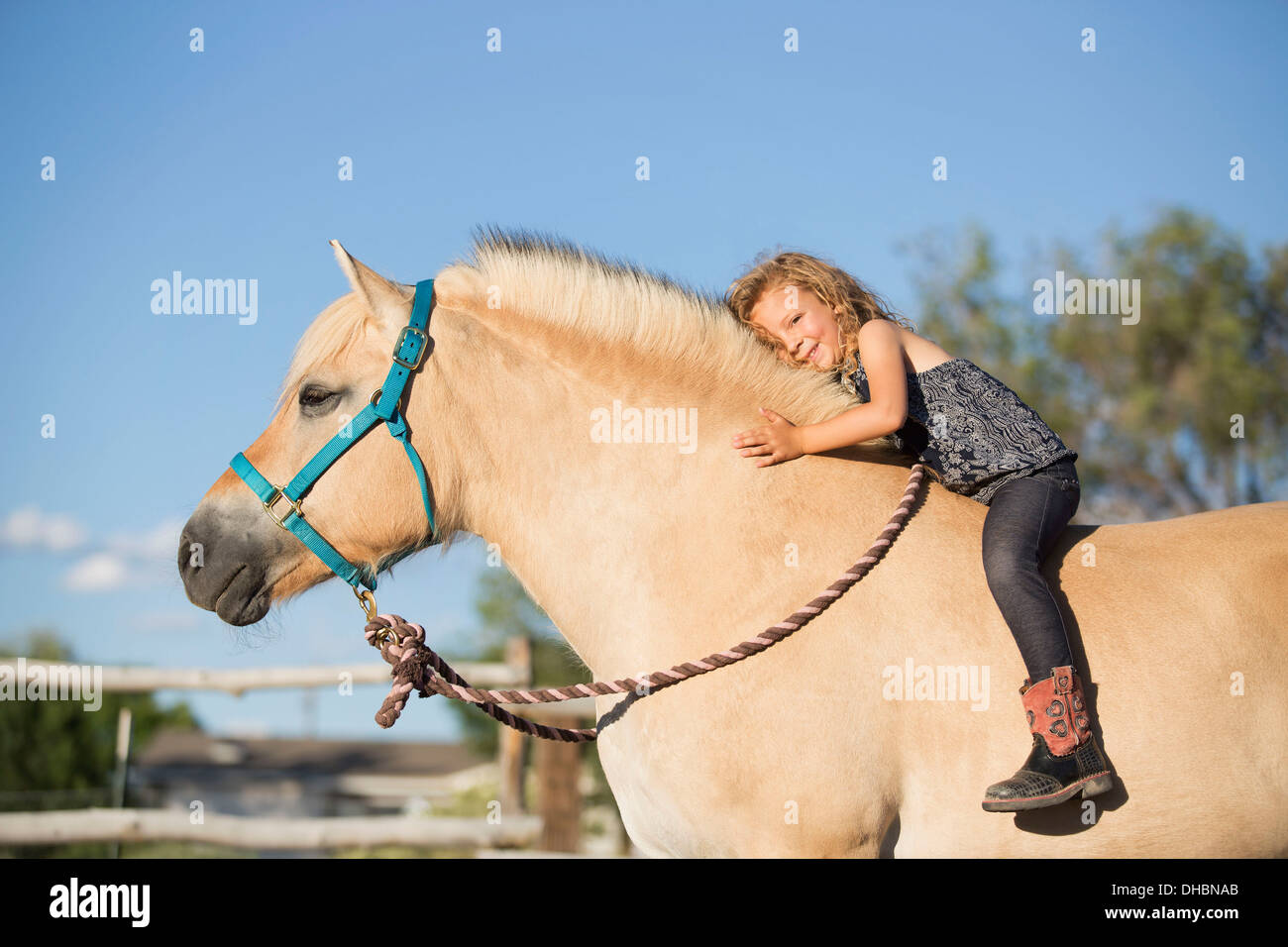 A young girl sitting on a horse. Stock Photo