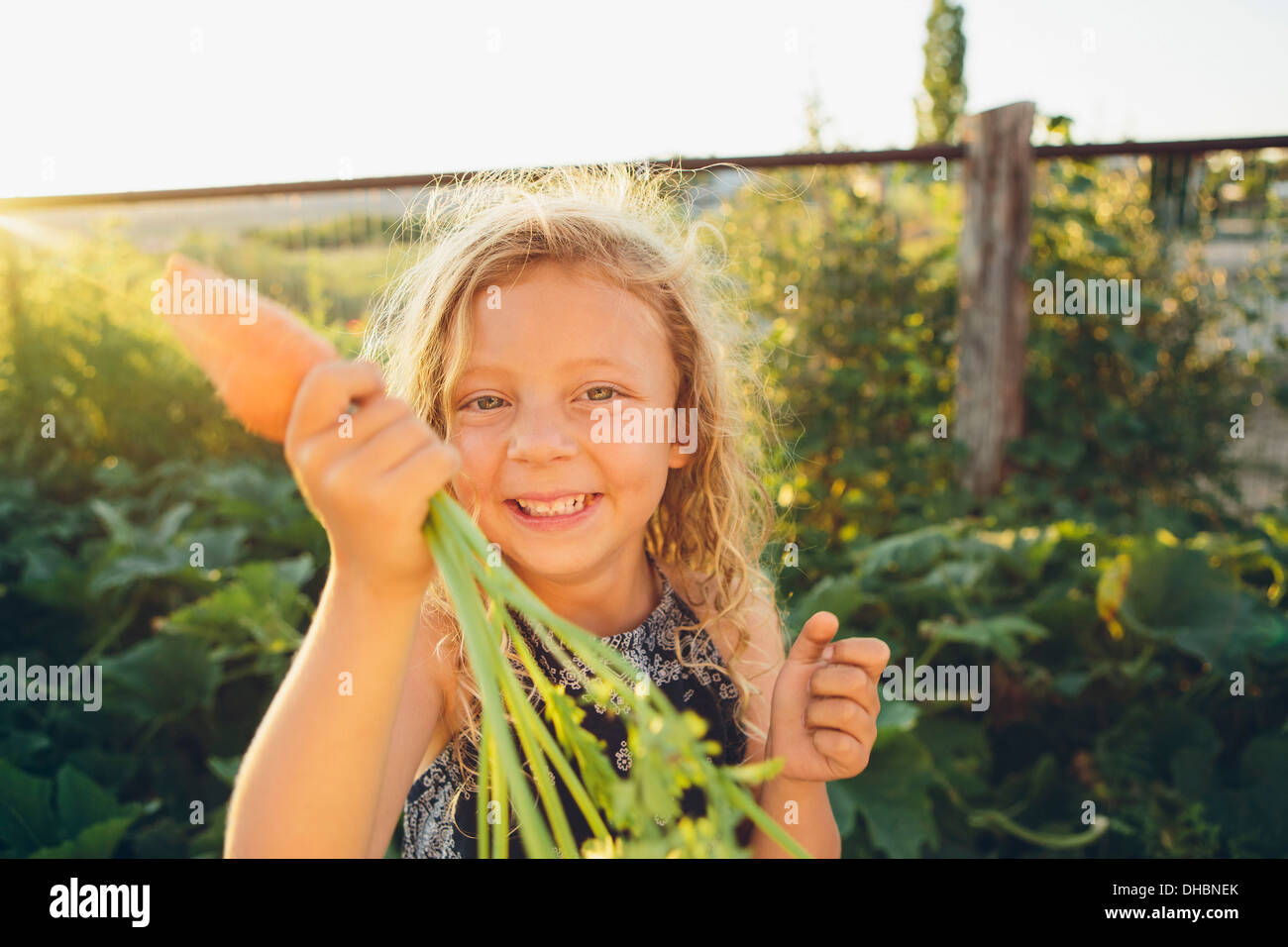 A young girl with long red curly hair outdoors in a garden holding a large fresh picked carrot. Stock Photo
