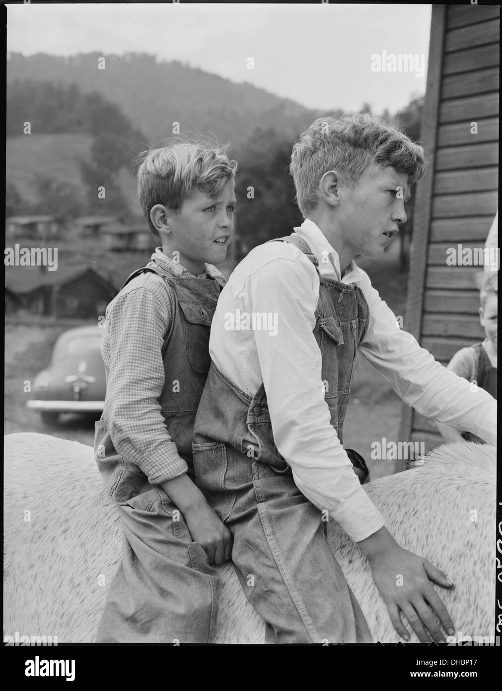 Franklin D. and Donald Sergent astride their mules. P V & K Coal Company, Clover Gap Mine, Lejunior, Harlan County... 541319 Stock Photo