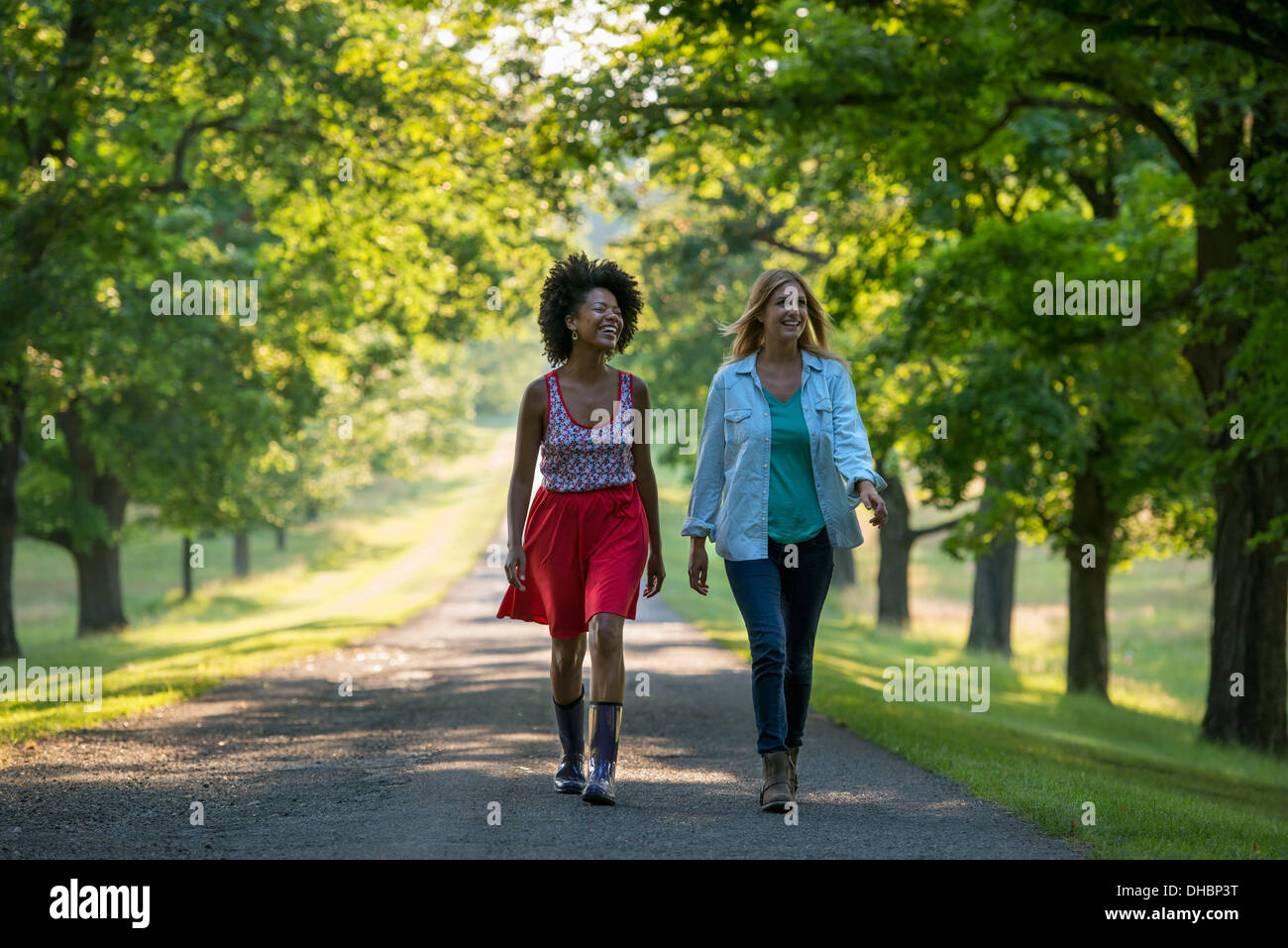 Two women walking down a path lined with trees. Stock Photo