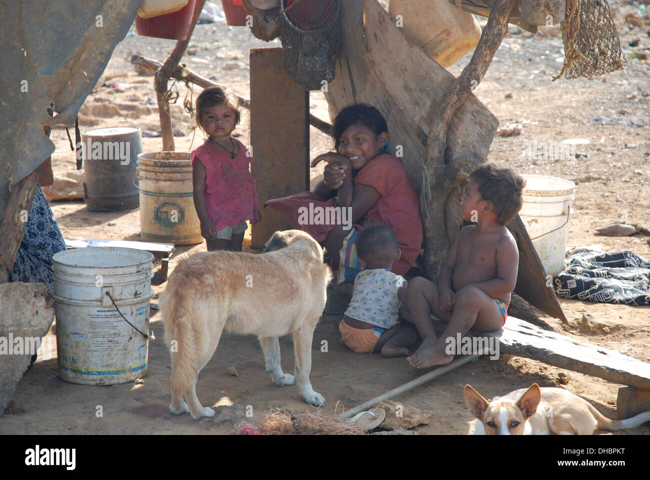 Smiling Wayuu children play with their dogs in the kitchen of their shack in Punta Gallinas in Colombia Stock Photo