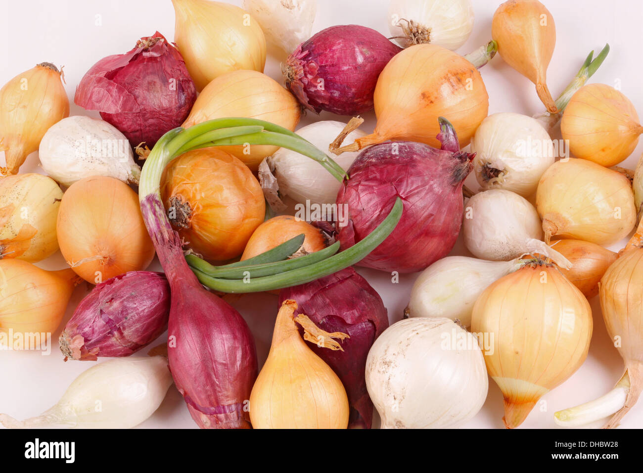 Small bulbs of red, white and yellow onions (Allium cepa) ready to be planted as sets or used for cooking Stock Photo