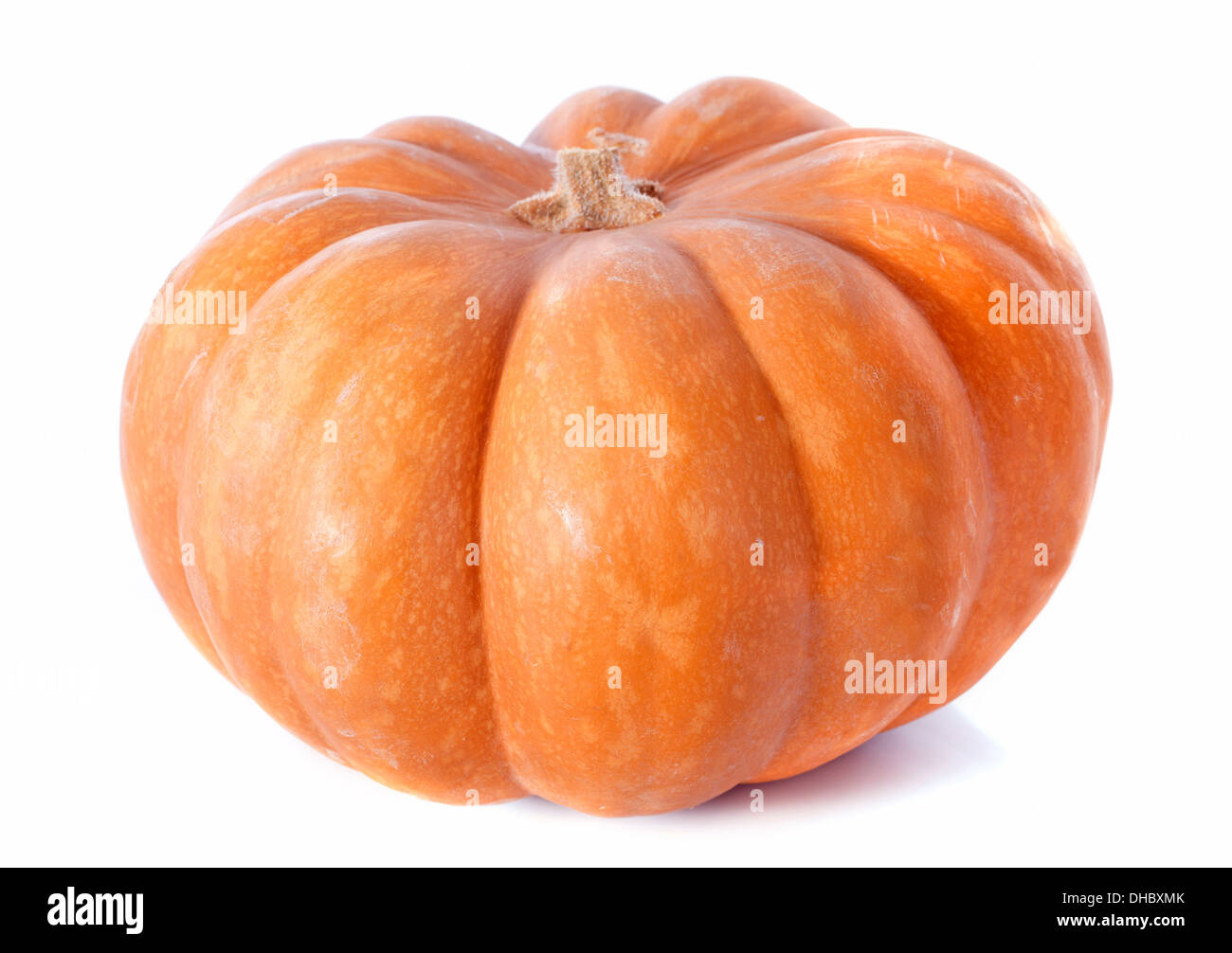 Ripe pumpkin in front of white background Stock Photo - Alamy