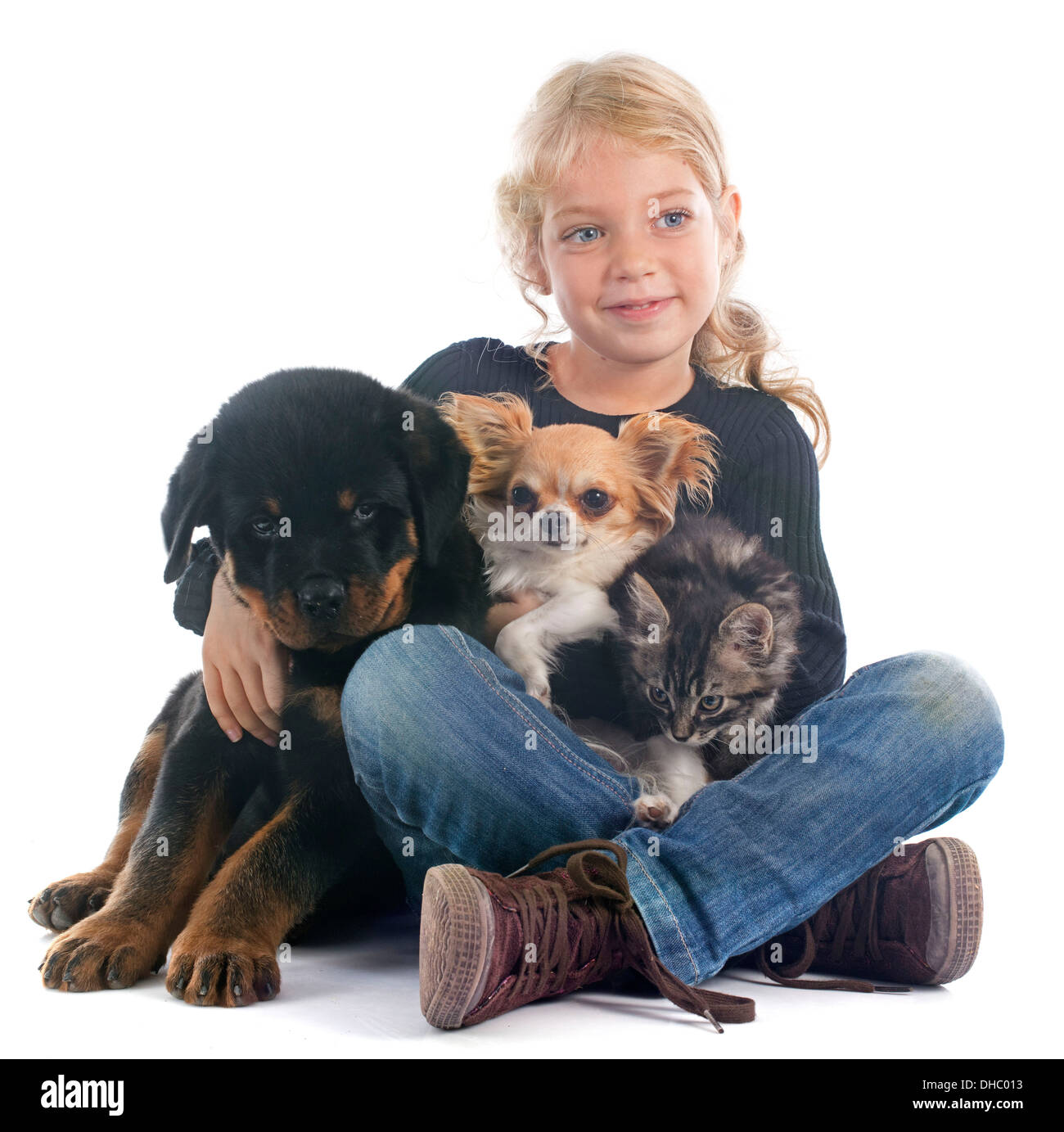 young girl, rottweiler and chihuahua in front of white background Stock Photo