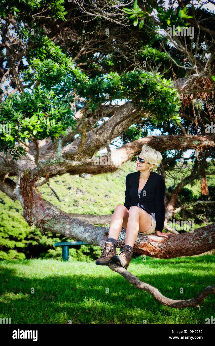 A Young Woman Sits In A Tree On An Island In The Bay Of Islands; Urupukapuka Island, New Zealand Stock Photo