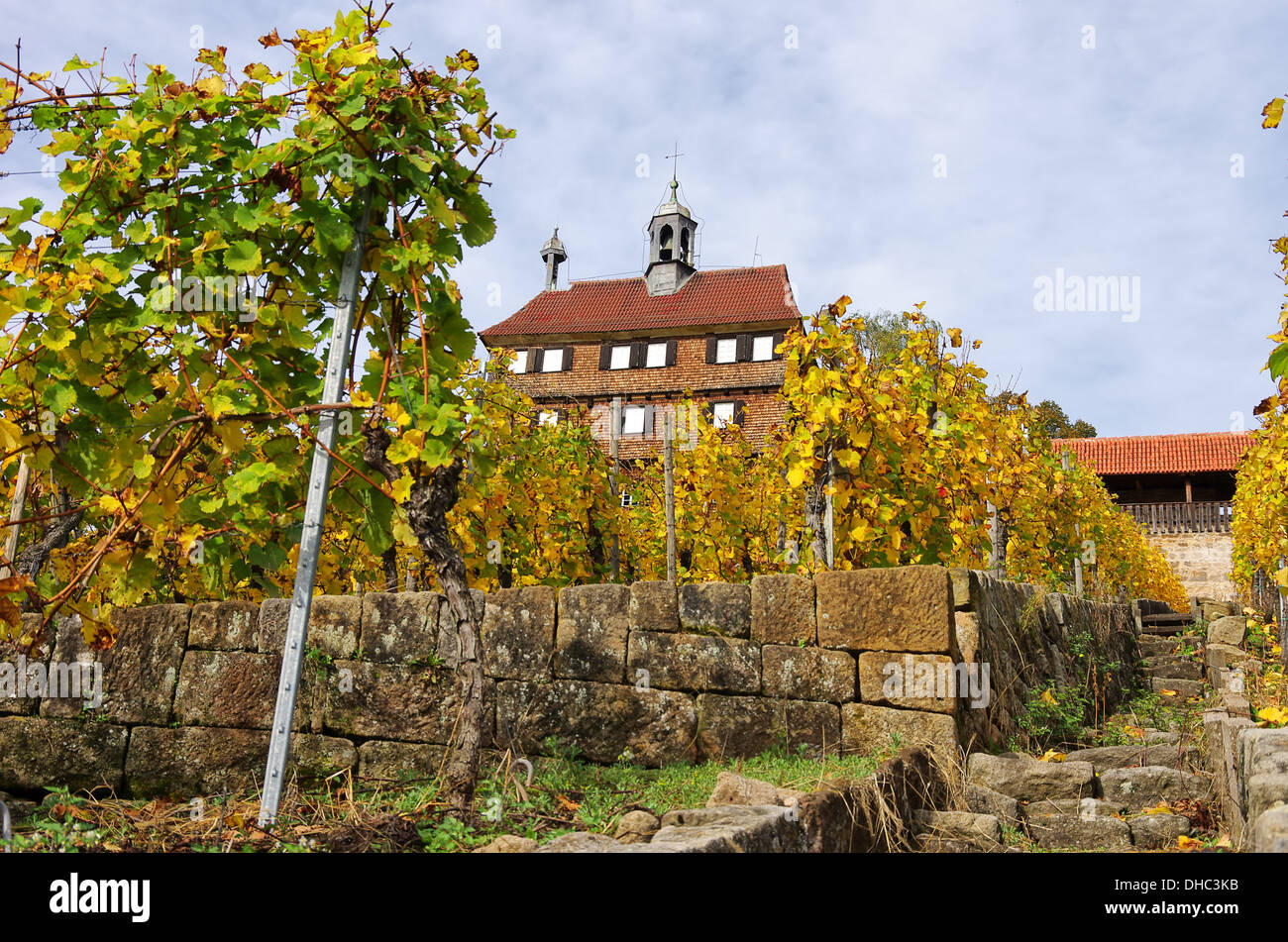 Castle And Vineyard, Esslingen, Germany Stock Photo