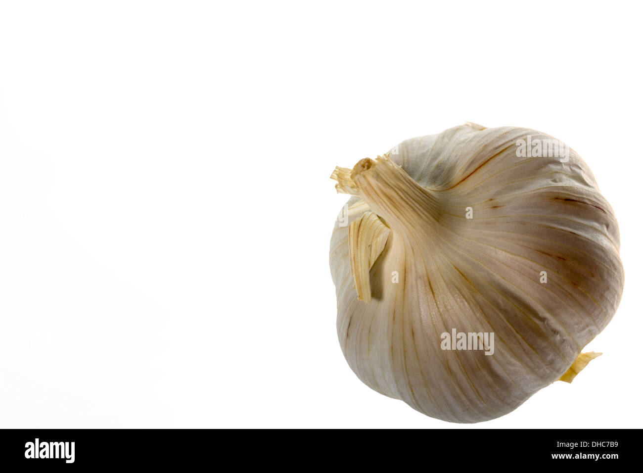 Garlic clove on a white background with space for copy Stock Photo - Alamy