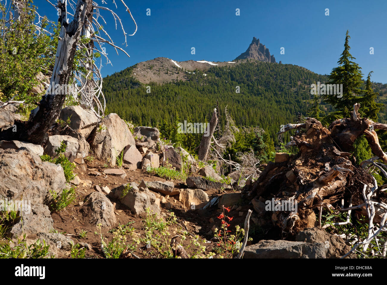 OREGON - Three Fingered Jack from the Pacific Crest National Scenic Trail north of Santiam Pass in Mount Jefferson Wilderness. Stock Photo