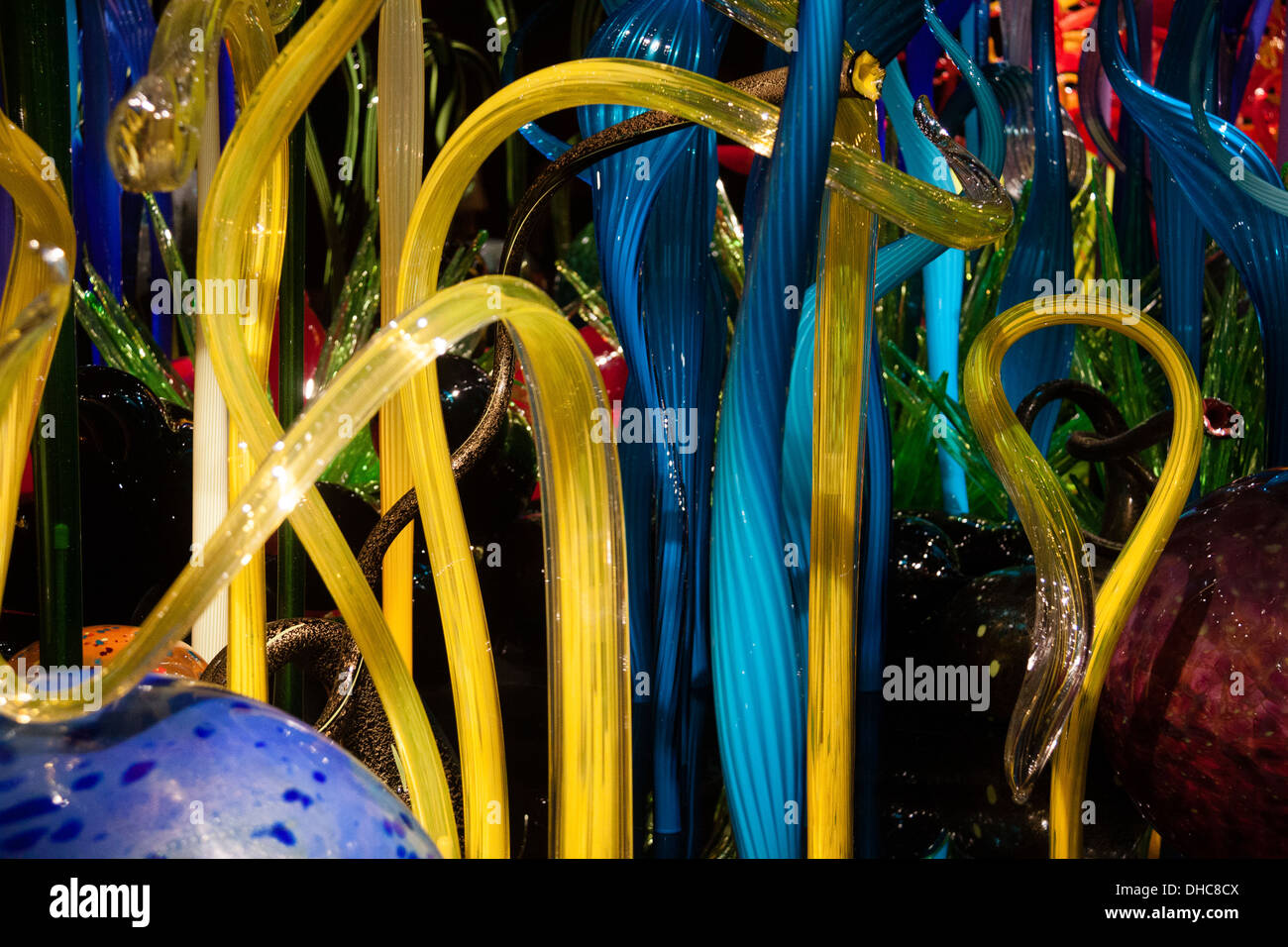 Mille Fiori Thousand Flowers exhibit, Chihuly Garden and Glass, Seattle Center, Seattle