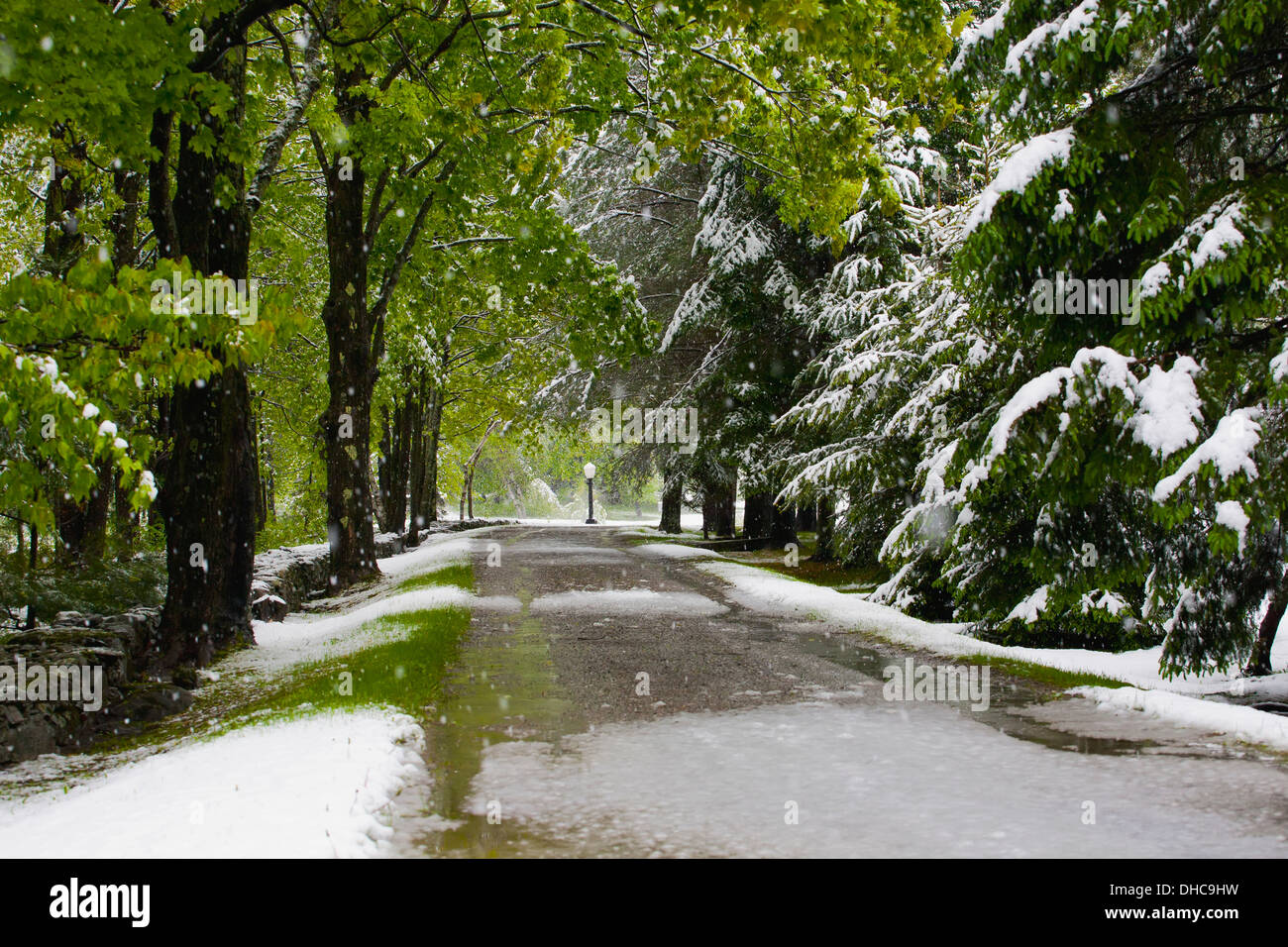 Late Spring Snowfall On A Road; Ville De Lac Brome, Quebec, Canada Stock Photo Alamy