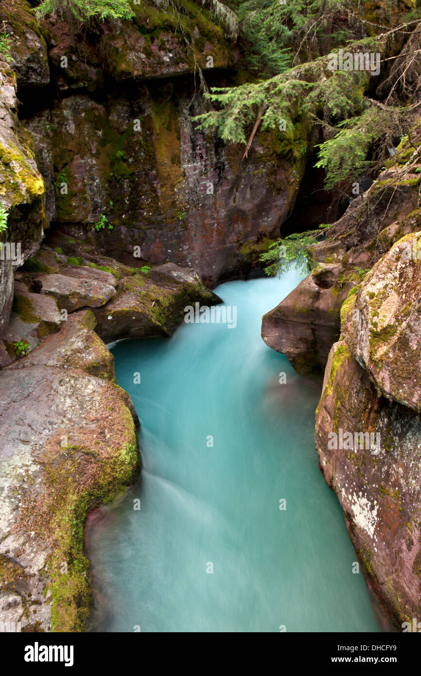 Avalanche Creek shoots through the narrow walls of Avalanche Gorge in Glacier National Park, Montana. Stock Photo