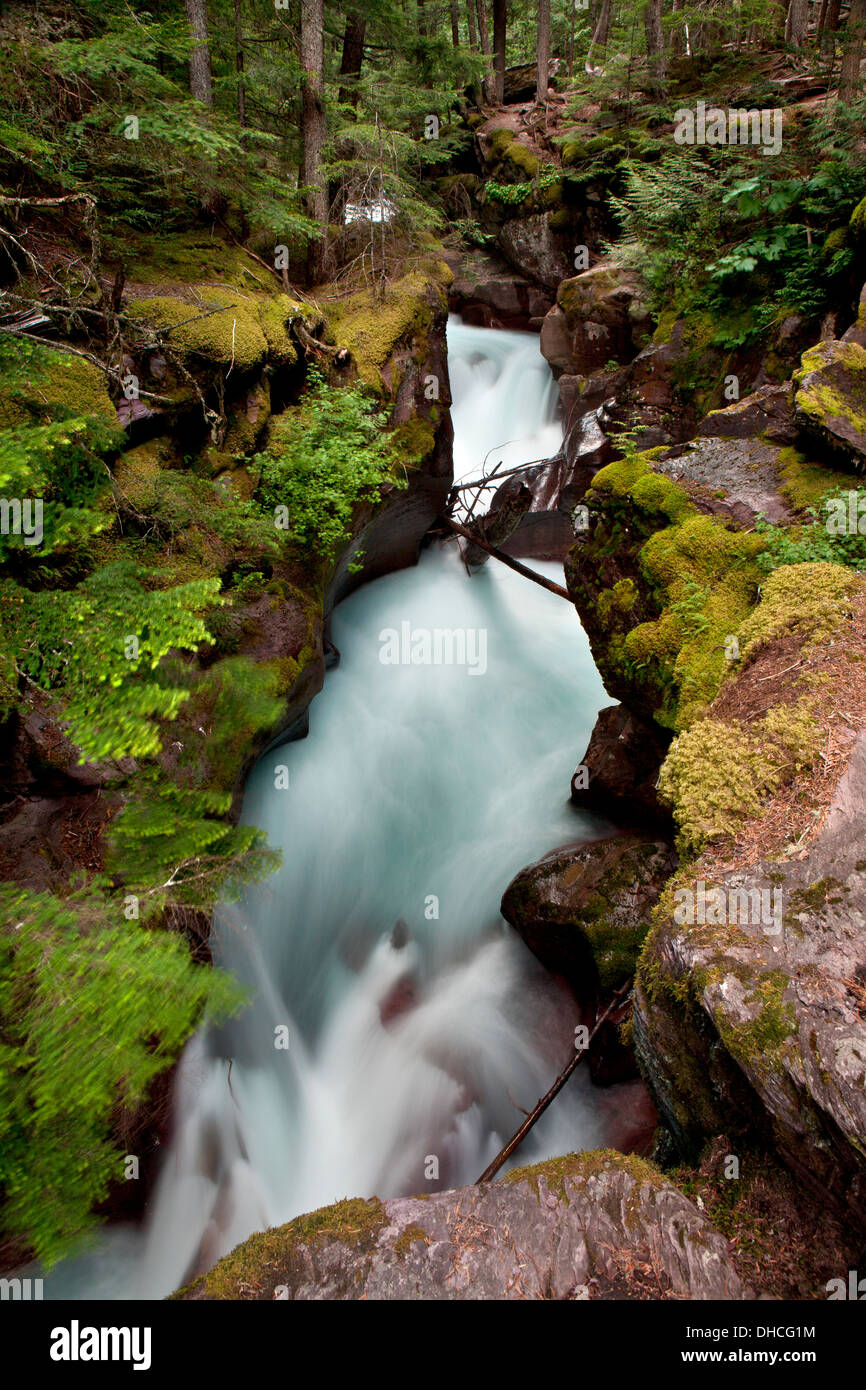 Avalanche Creek shoots through the narrow walls of Avalanche Gorge in Glacier National Park, Montana. Stock Photo