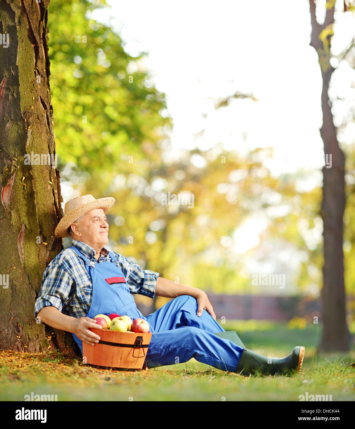Male worker in overalls with basket of harvested apples sitting in ...
