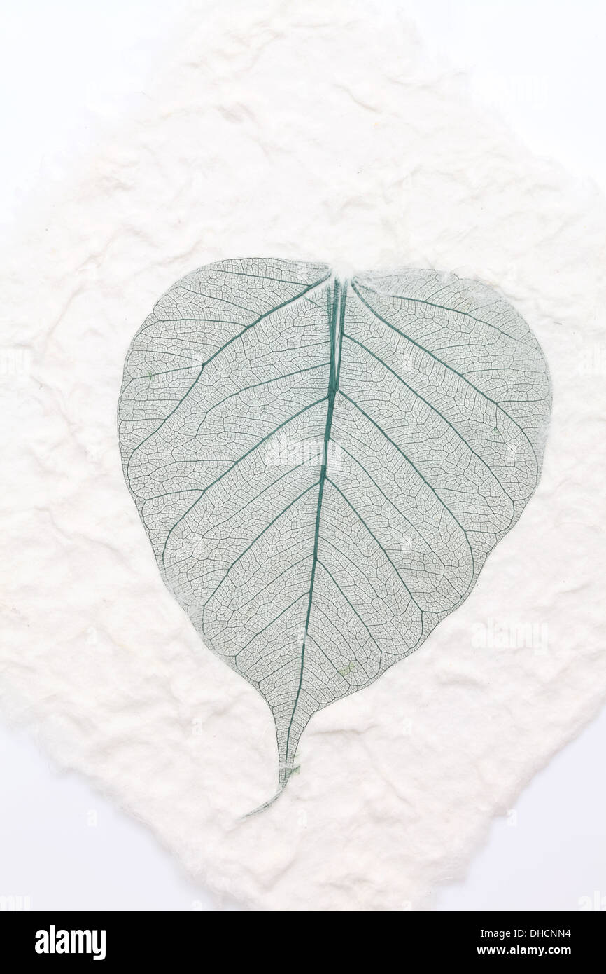 Sutra Ripe Rice Paper Cards Free Installation Natural Bodhi Leaf