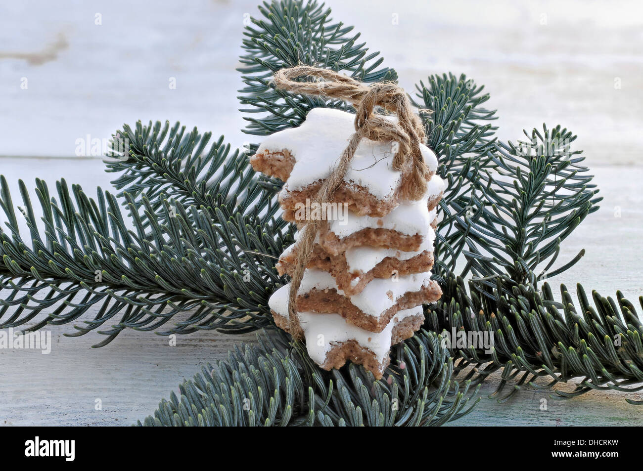 Tied together cinnamon stars on fir branch with string Stock Photo