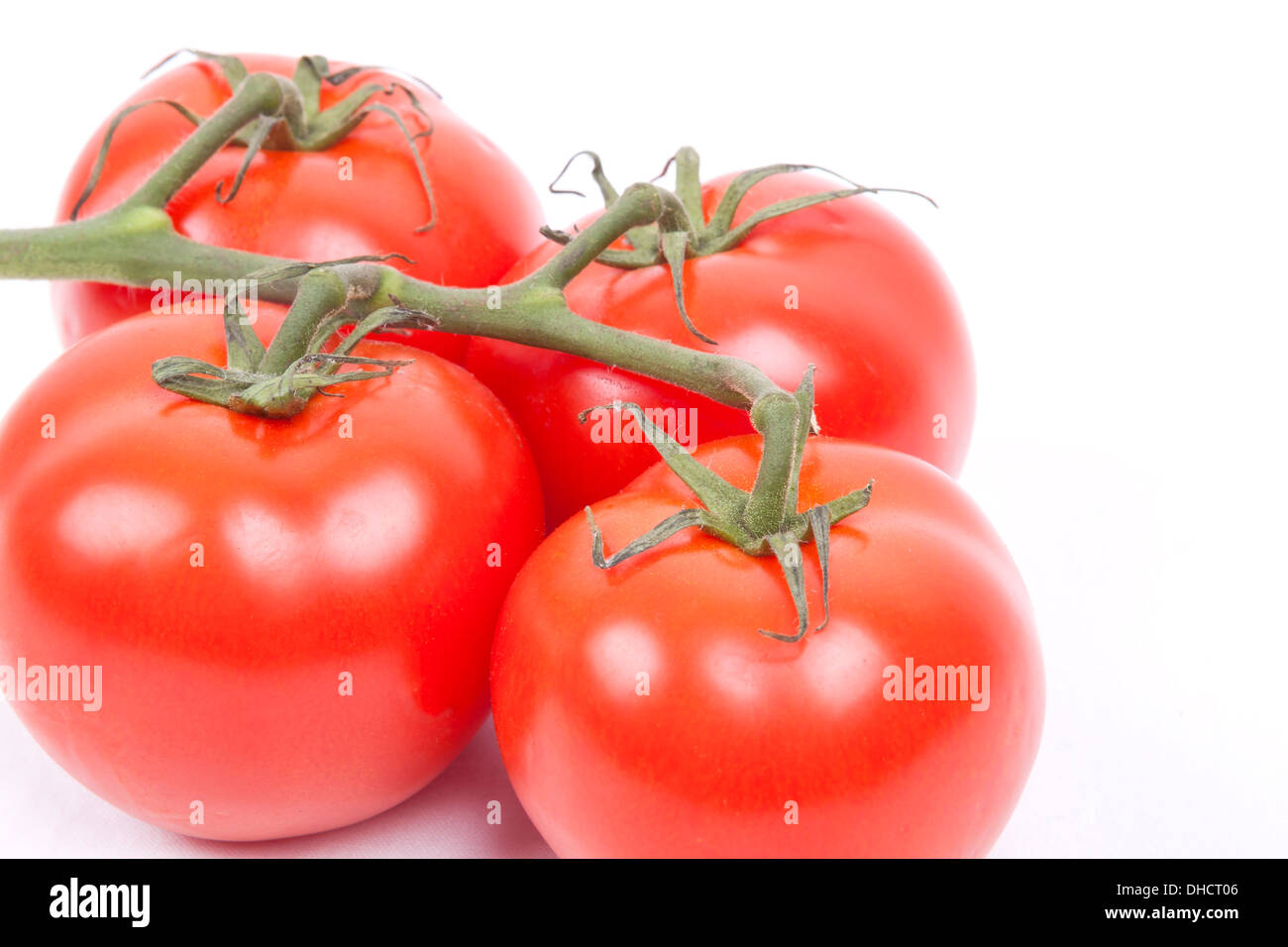 tomatoes on a vine isolated on a white background Stock Photo - Alamy