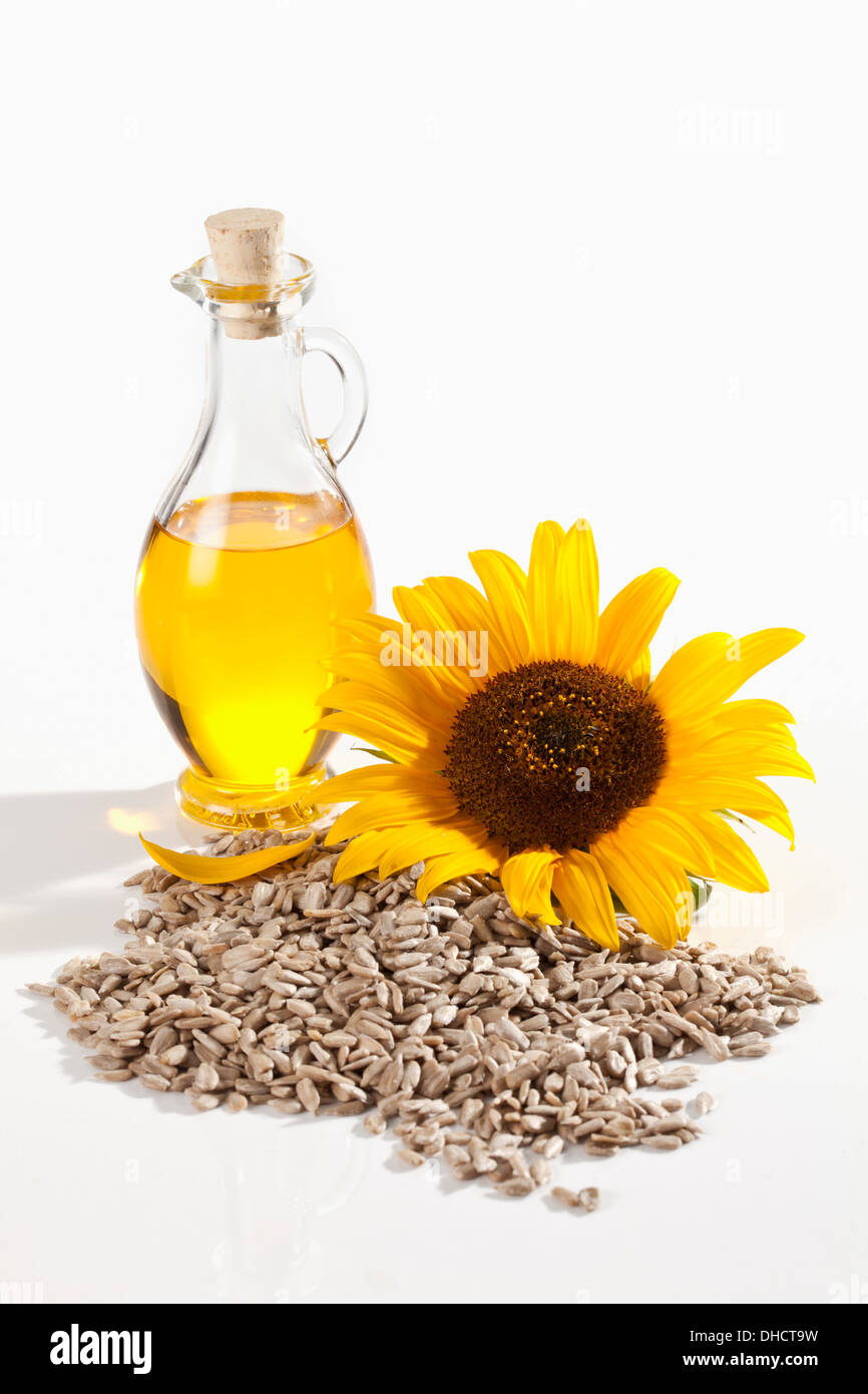 Sunflower with sunflower seeds and sunflower oil Stock Photo
