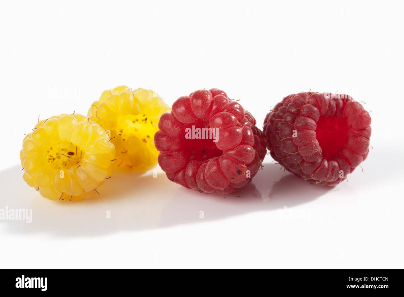 Red Andyellow Raspberry Two yellow and two red raspberries (Rubus idaeus), studio shot Stock ...