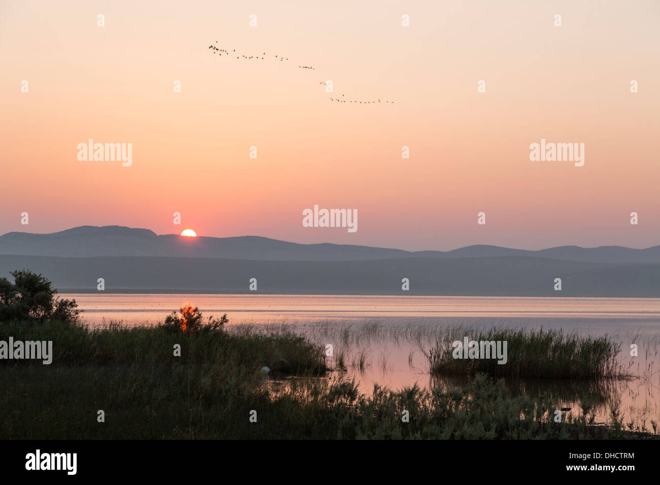 Croatia, Dalmatia, sunrise at Vransko jezero Stock Photo