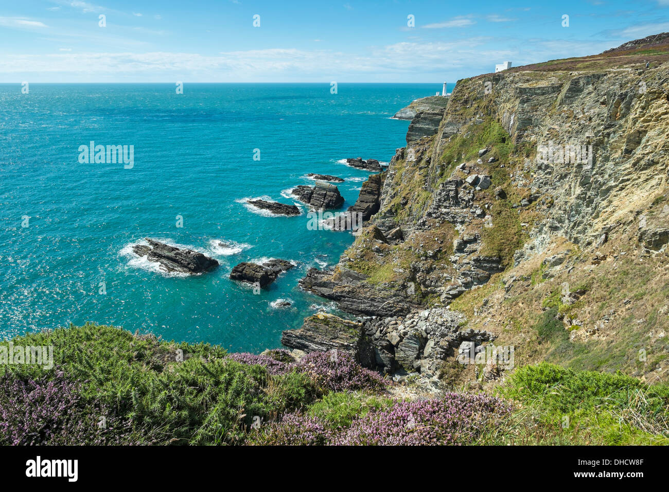 UK, Wales, Anglesey, Holy Island, cliff coast of South stack Stock