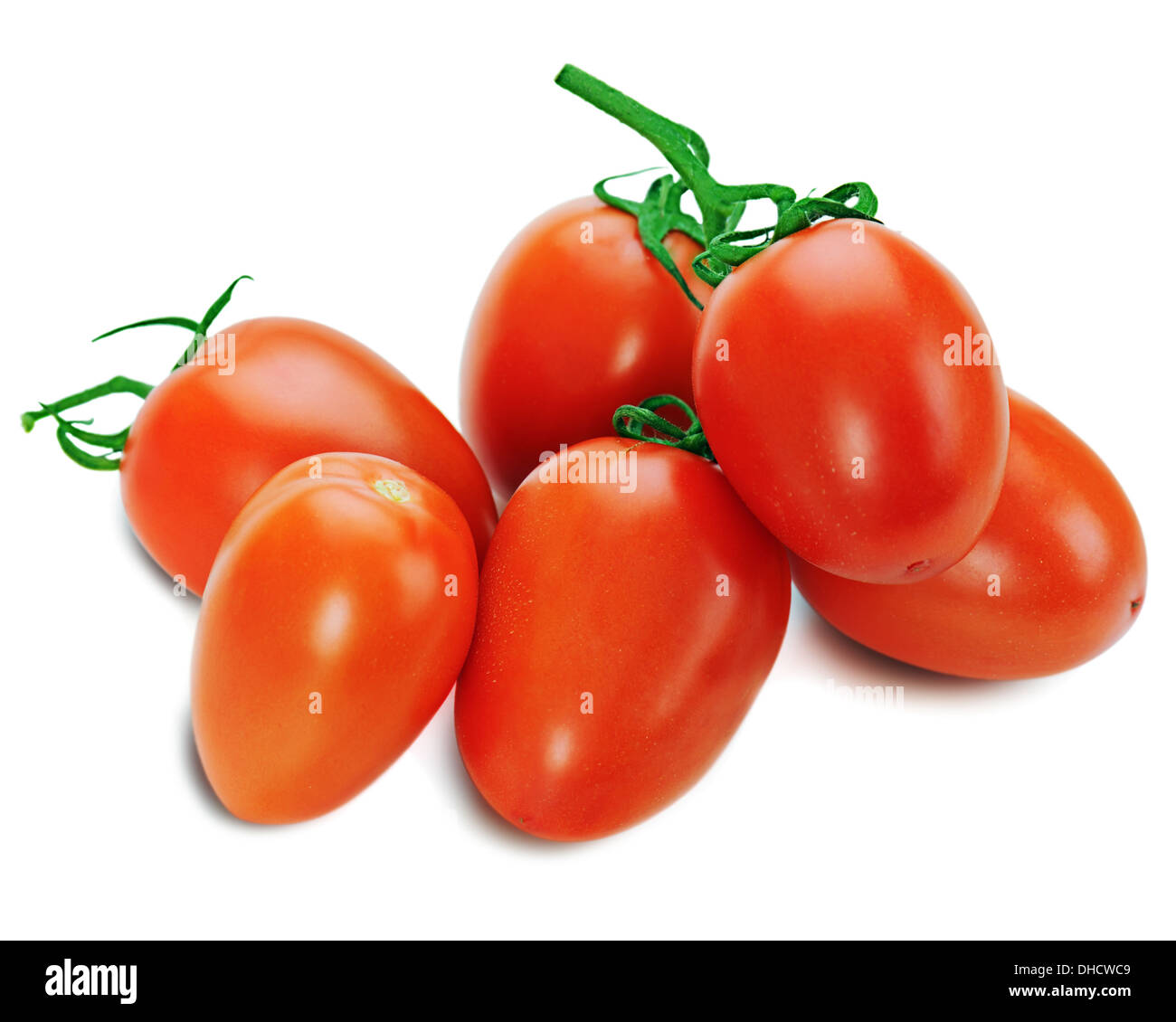Red tomatoes on the vine isolated on white background. Closeup Stock ...
