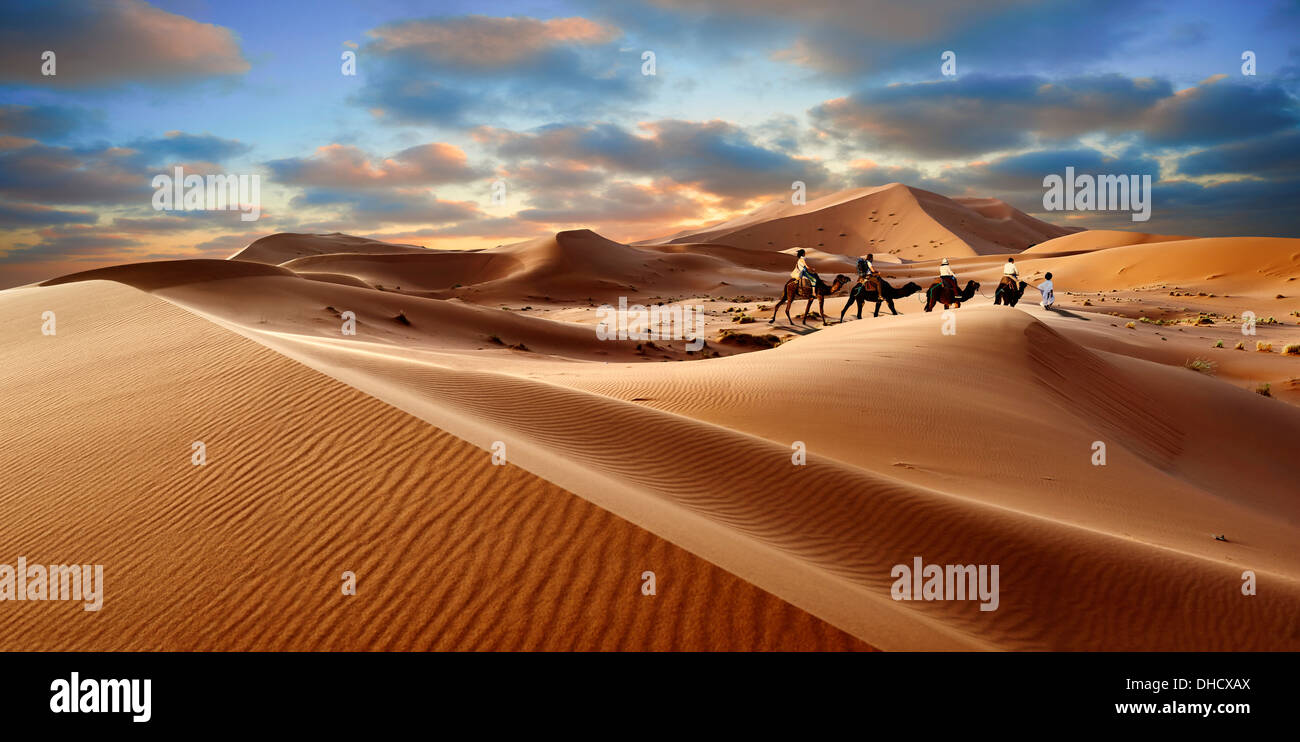 Camel rides on the Sahara sand dunes of erg Chebbi at sunset, Merzuga, Morocco, Africa Stock Photo