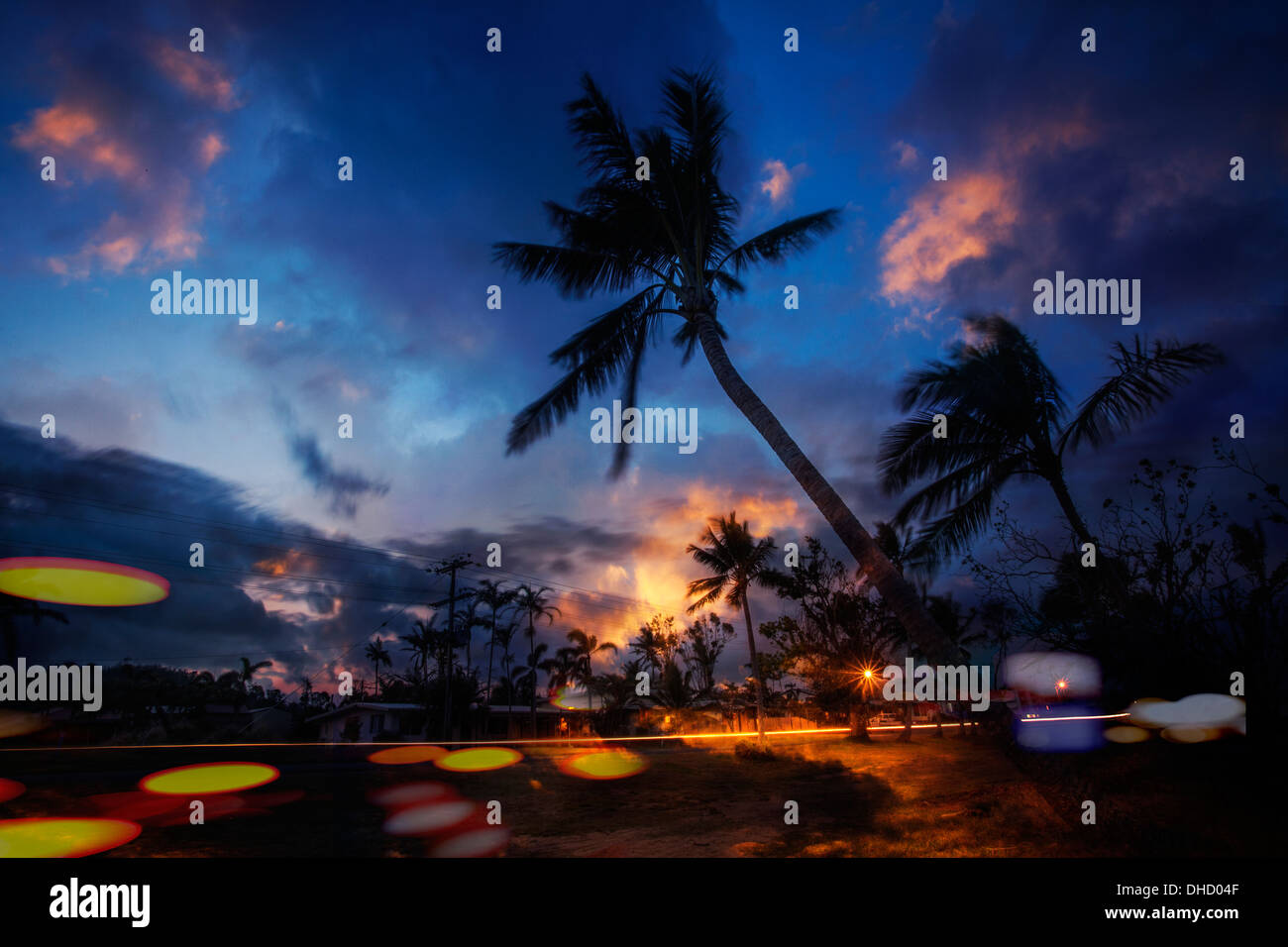 A color landscape photograph of palm trees with car light trails shot at dusk. Stock Photo