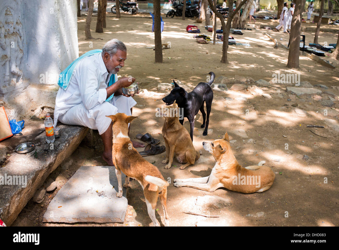 Dogs for hotsell diabetic patients