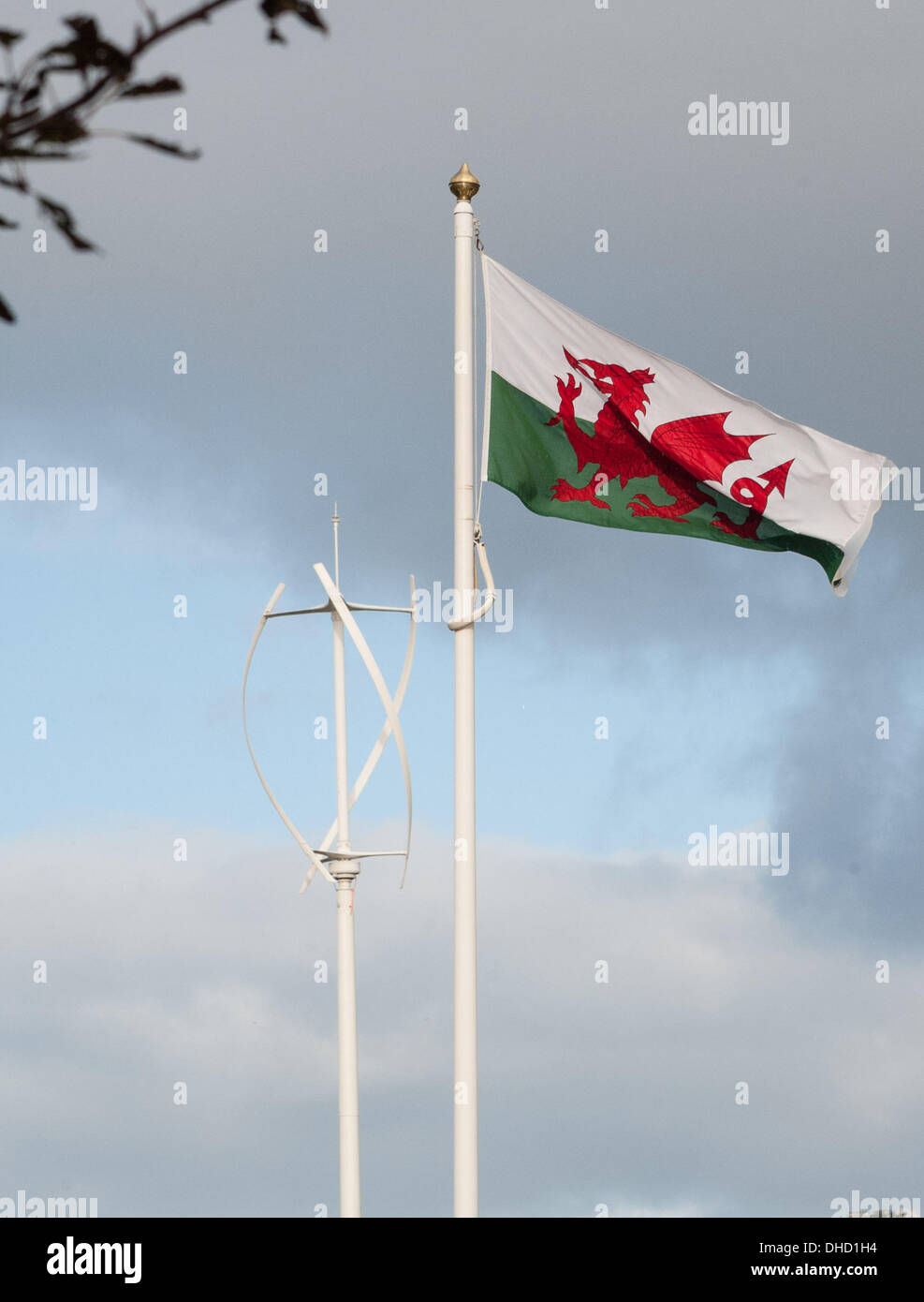 Aberystwyth, Wales, UK. 7th November 2013.   A Freedom of Information request to the Welsh Government has revealed that at £40,000 wind turbine located outset the governments regional offices in Aberystwyth produces only £5.28 of electricity per month.  Before it was installed, the turbine makers warned Welsh government contractors it would not be exposed to enough wind where it was to be placed.   Credit:  keith morris/Alamy Live News Stock Photo