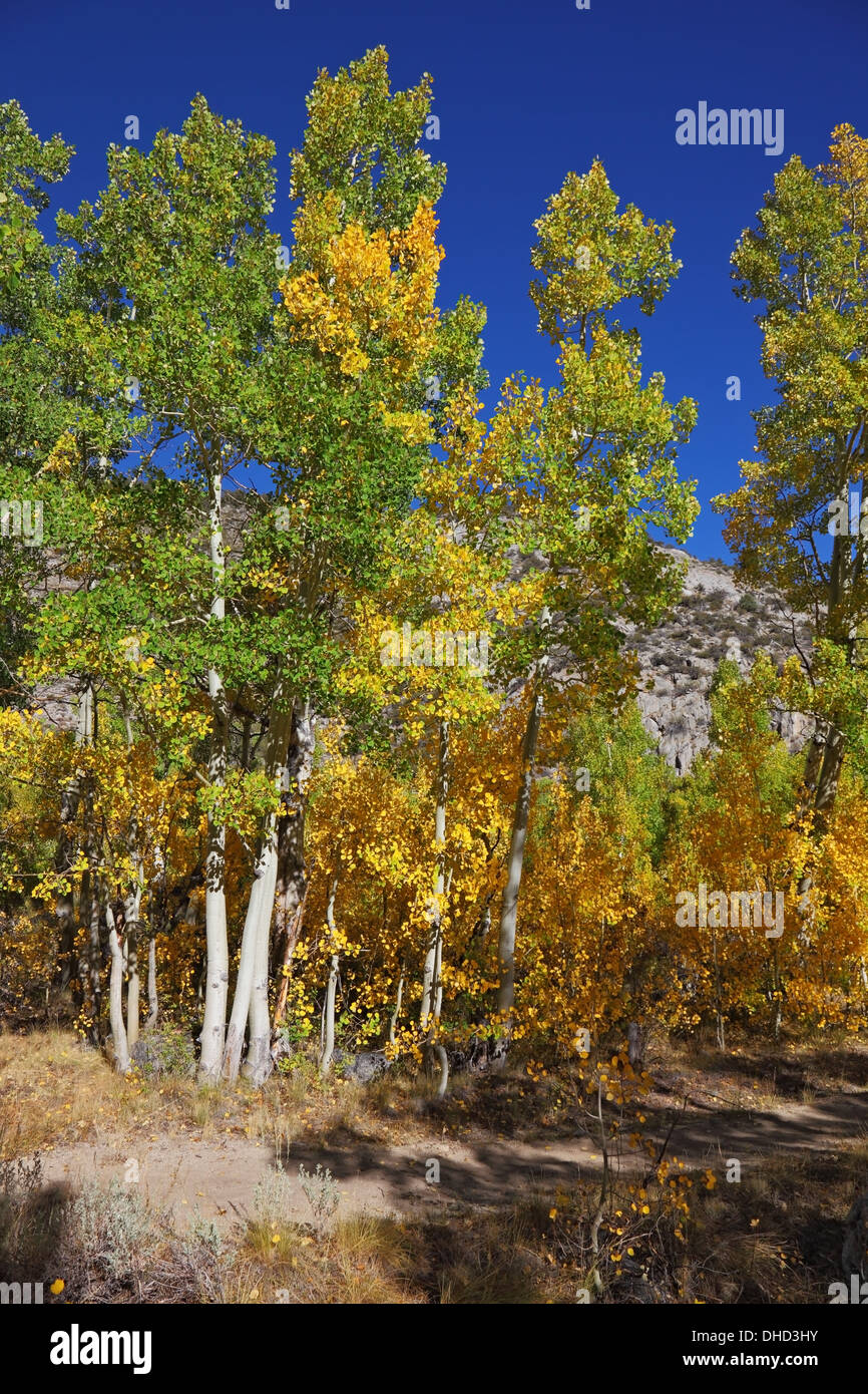 The beautiful autumn landscape Stock Photo - Alamy