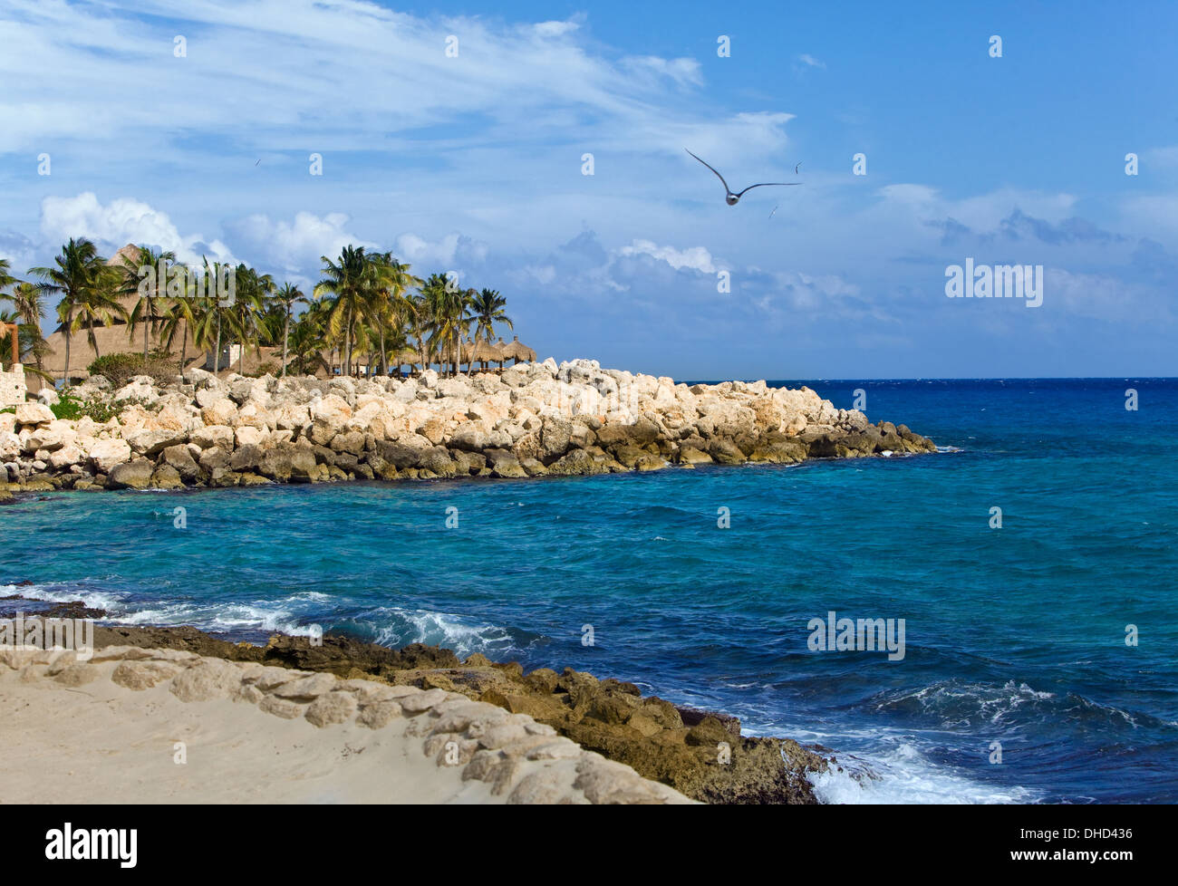 Mexico, park of Shkaret.Rock with palm trees Stock Photo