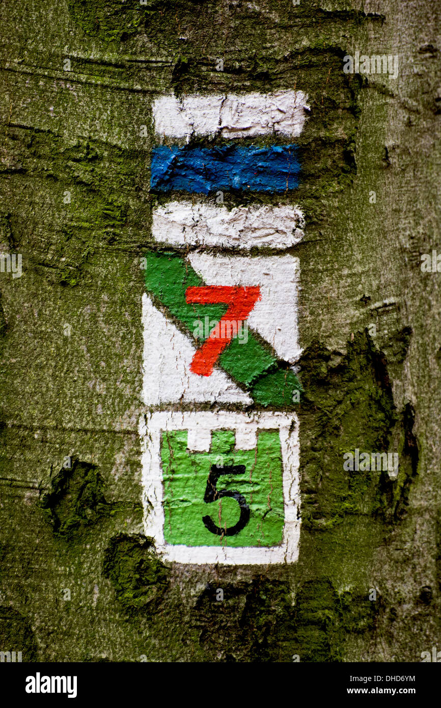 Hiking trail signs symbols on the tree Stock Photo - Alamy
