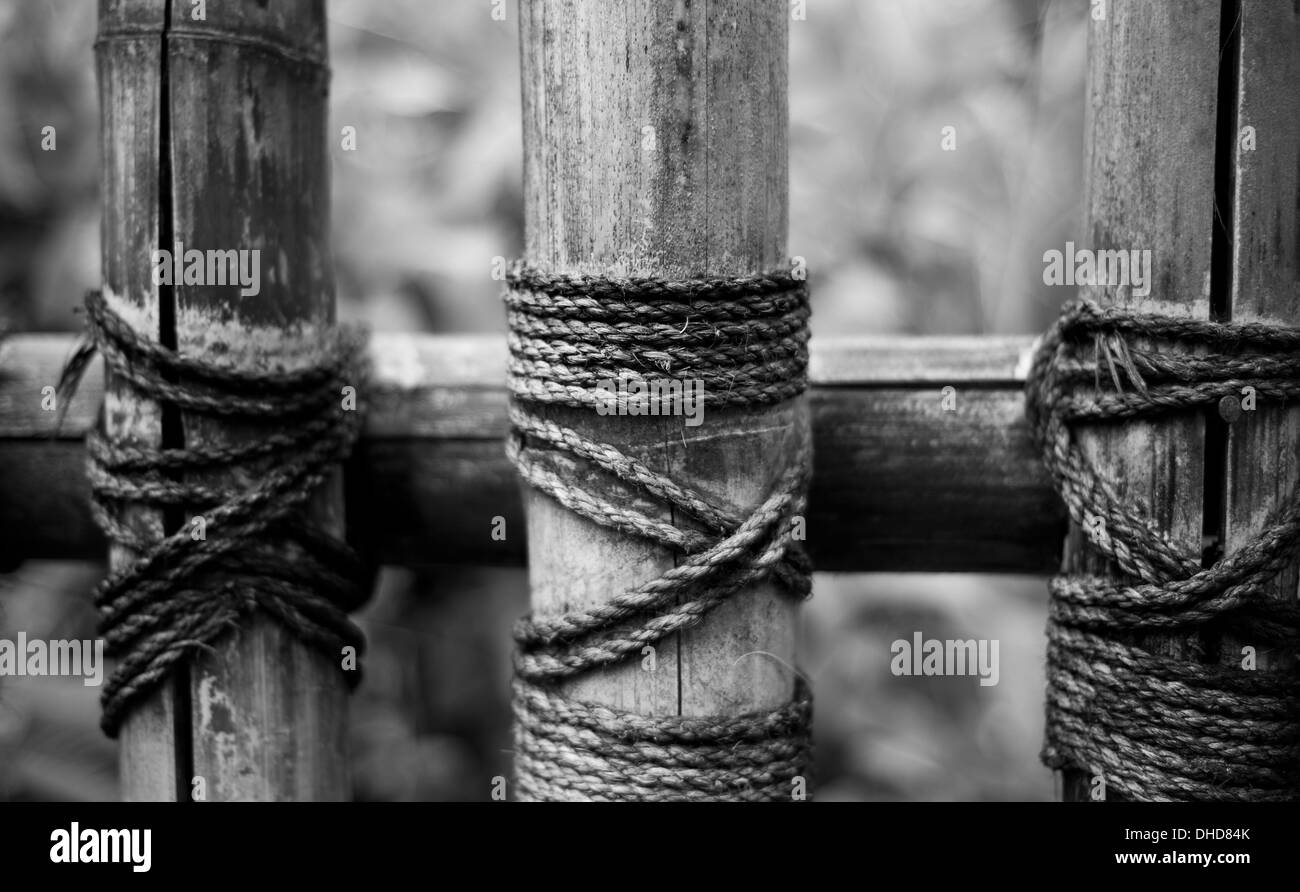 Bamboo Small Stump Rotten Rotten pile Black and White Stock Photos & Images - Alamy