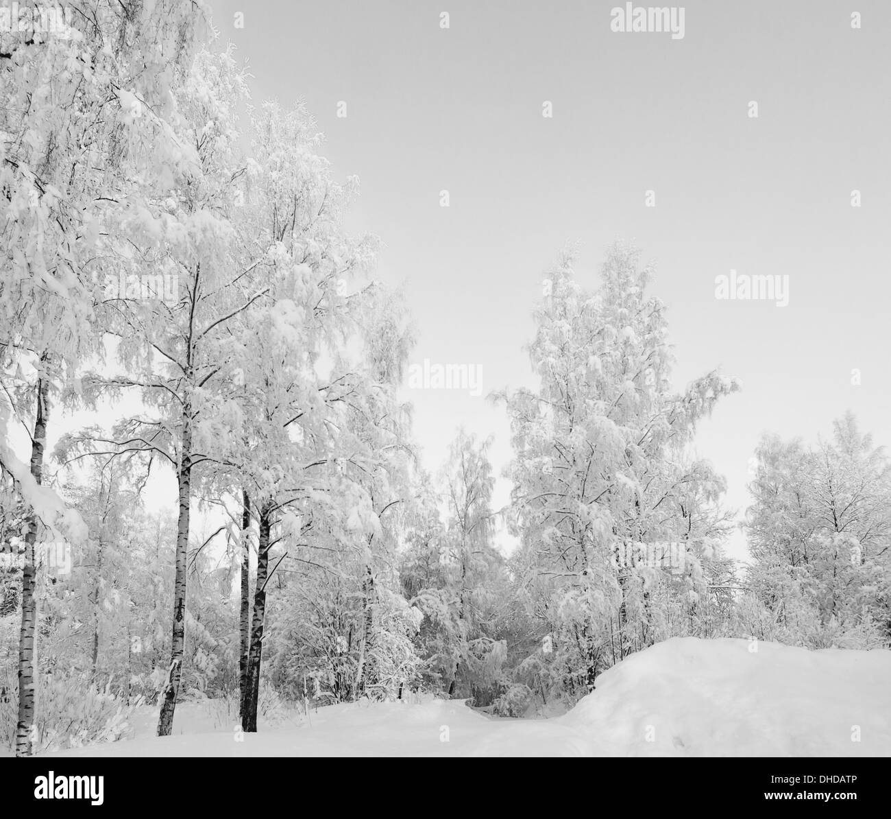 Silhouette winter scene Black and White Stock Photos & Images - Alamy