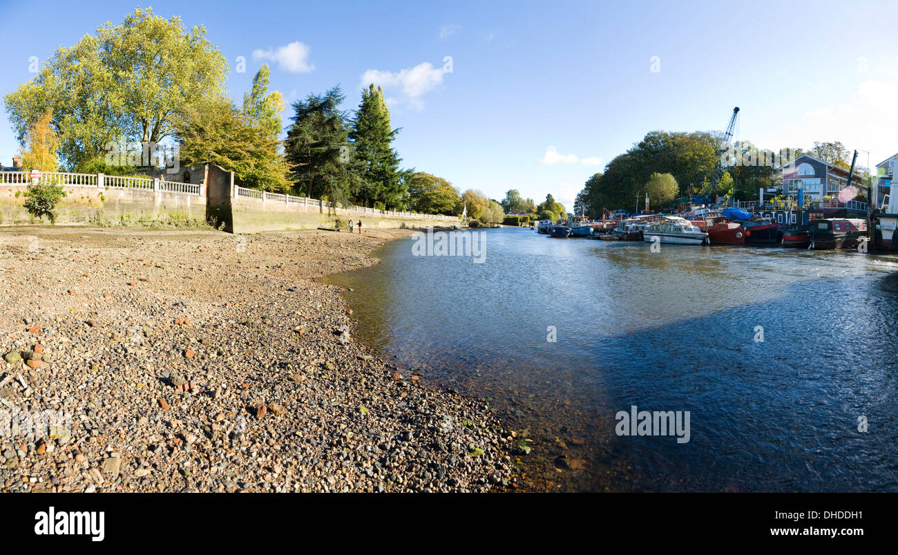 River Thames, Twickenham riverside. The exposed beach / riverbank / bed