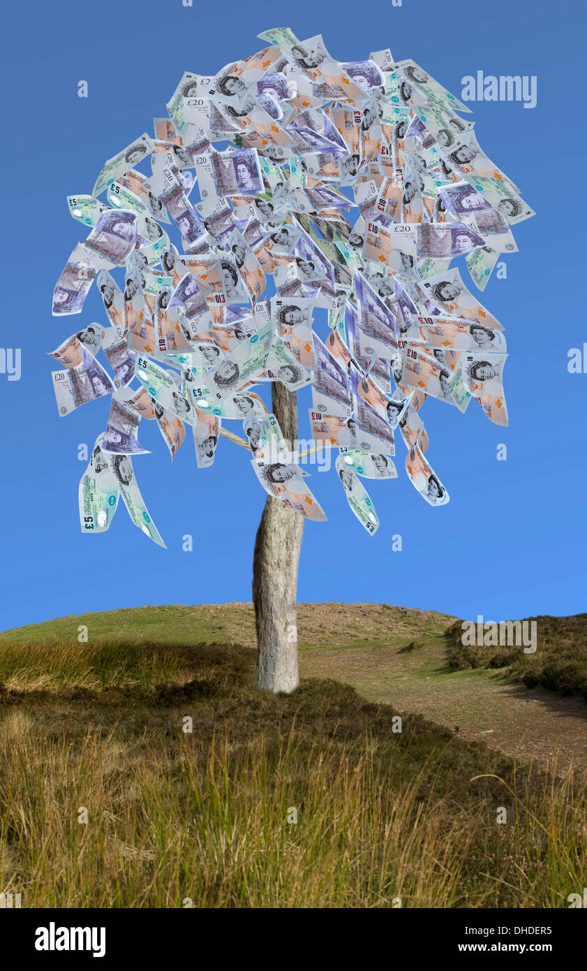 Money tree Stock Photo