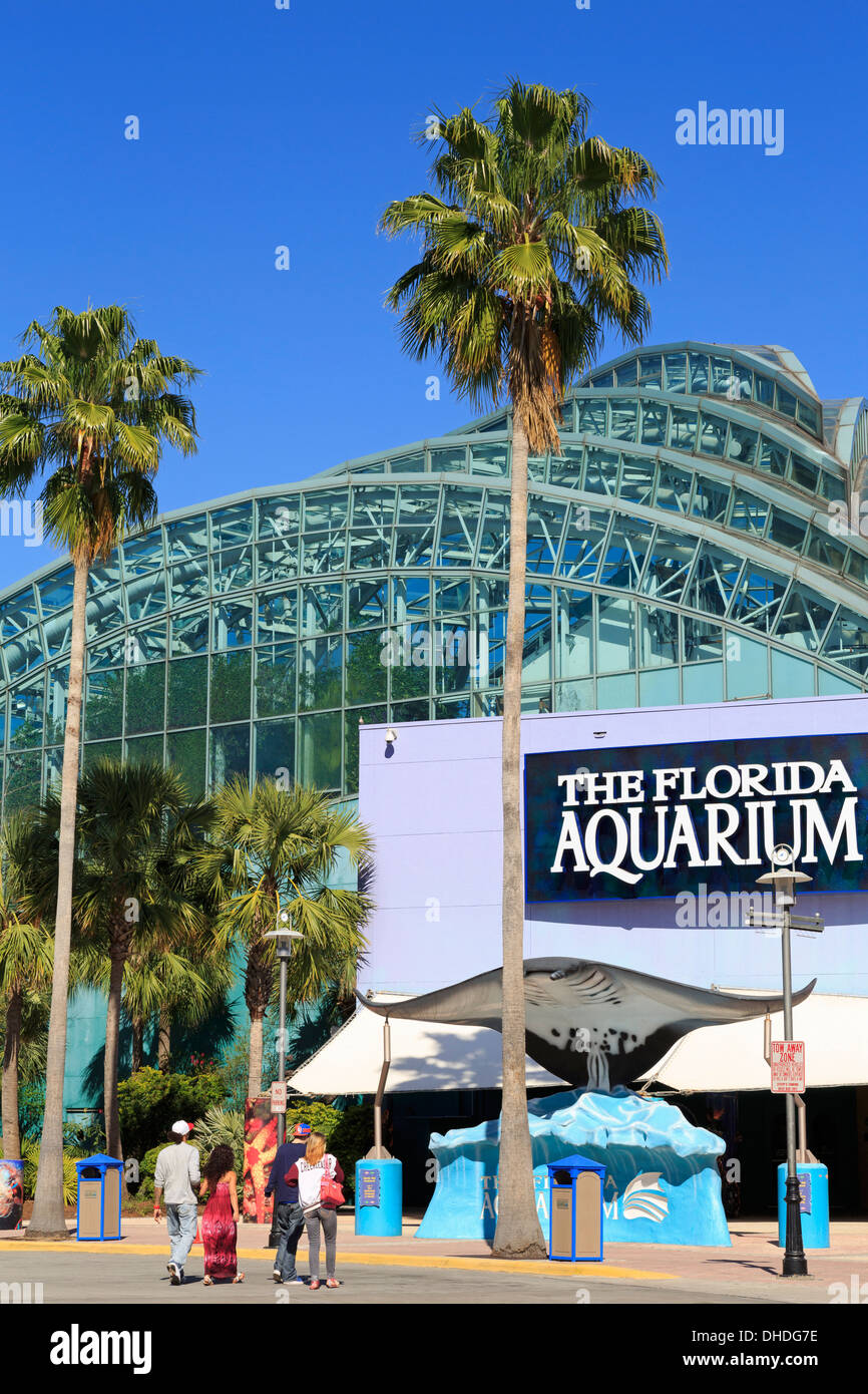 The Florida Aquarium, Tampa, Florida, United States of America, North America Stock Photo