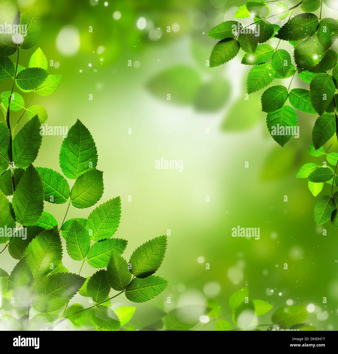 Spring or summer season abstract nature background with grass and blue sky in the back Stock Photo