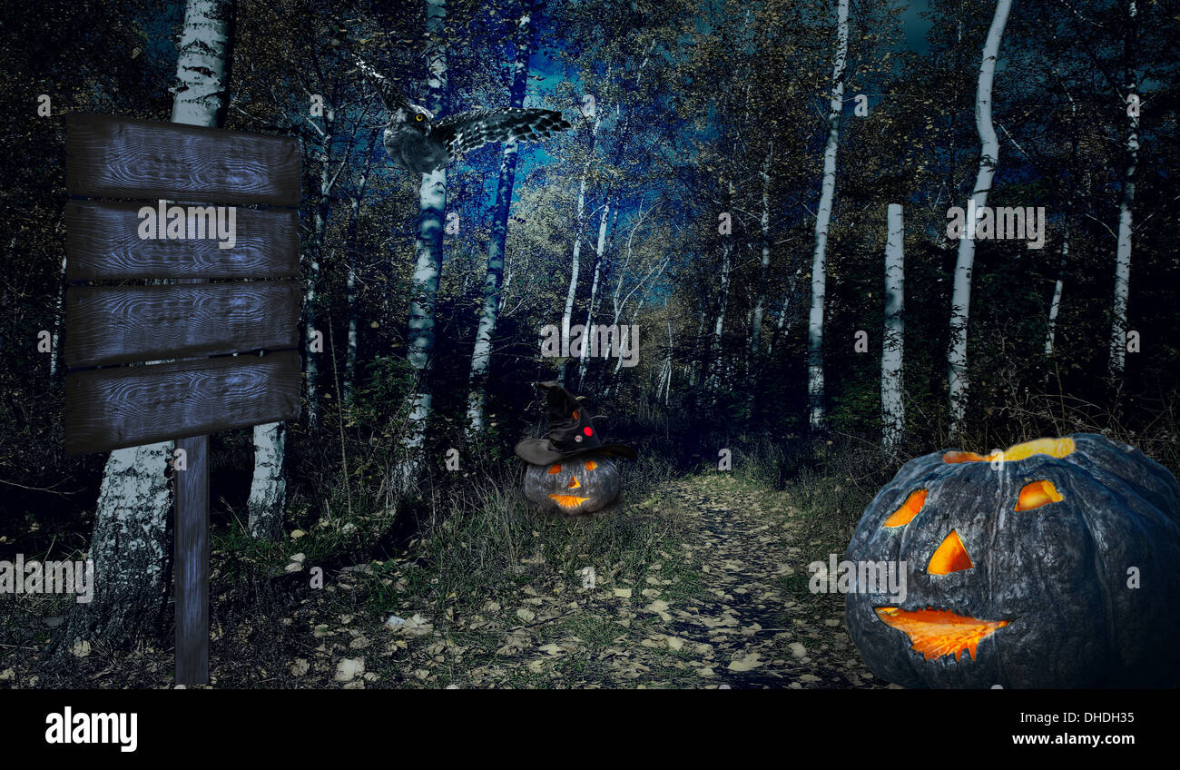 Halloweenv forest Pumpkins and pillar Stock Photo - Alamy
