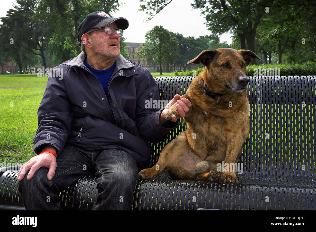 Old man sitting on a park bench holding his pet dog's paw, Govan Glasgow, Scotland, UK Stock Photo
