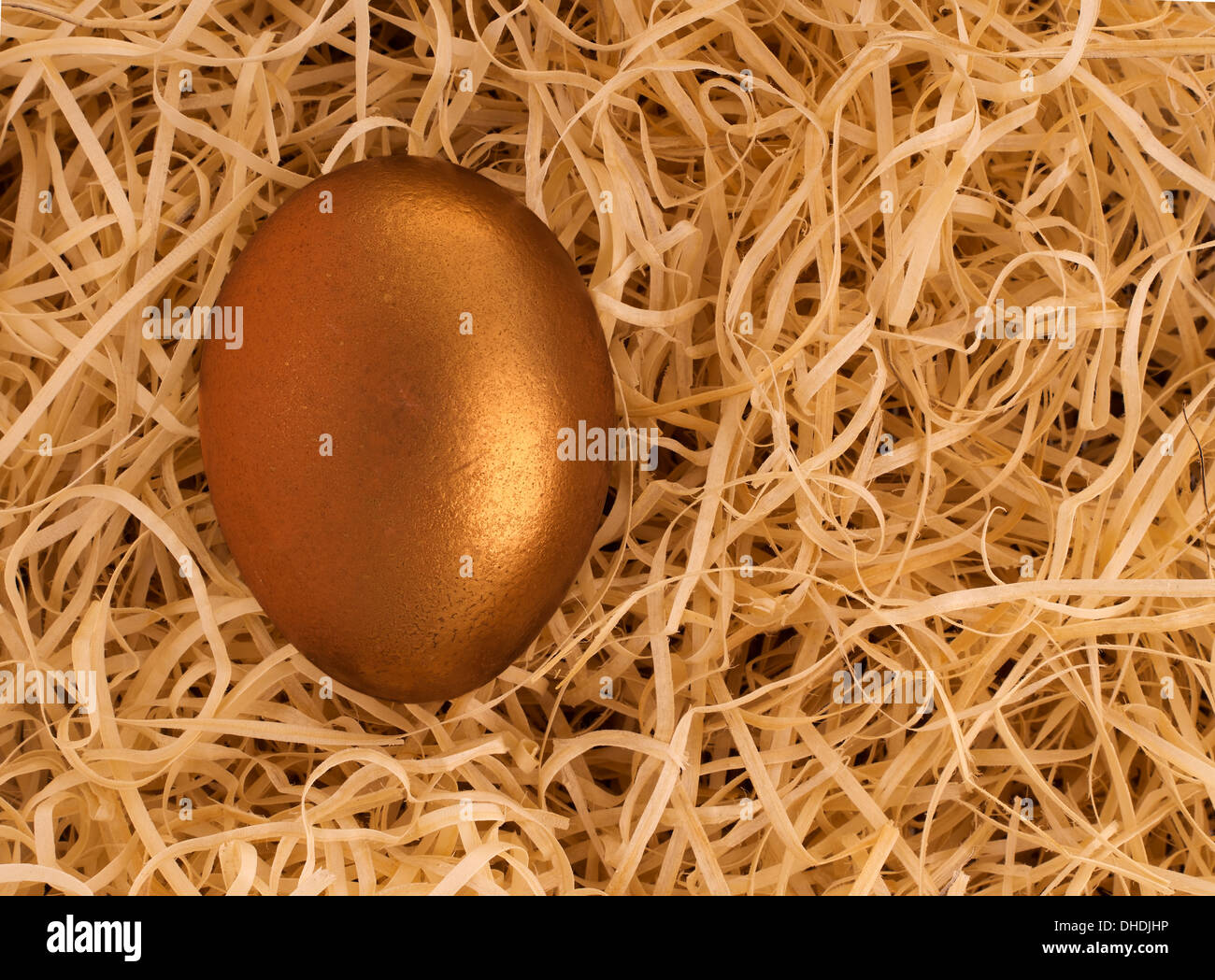 Real nest egg! Stock Photo