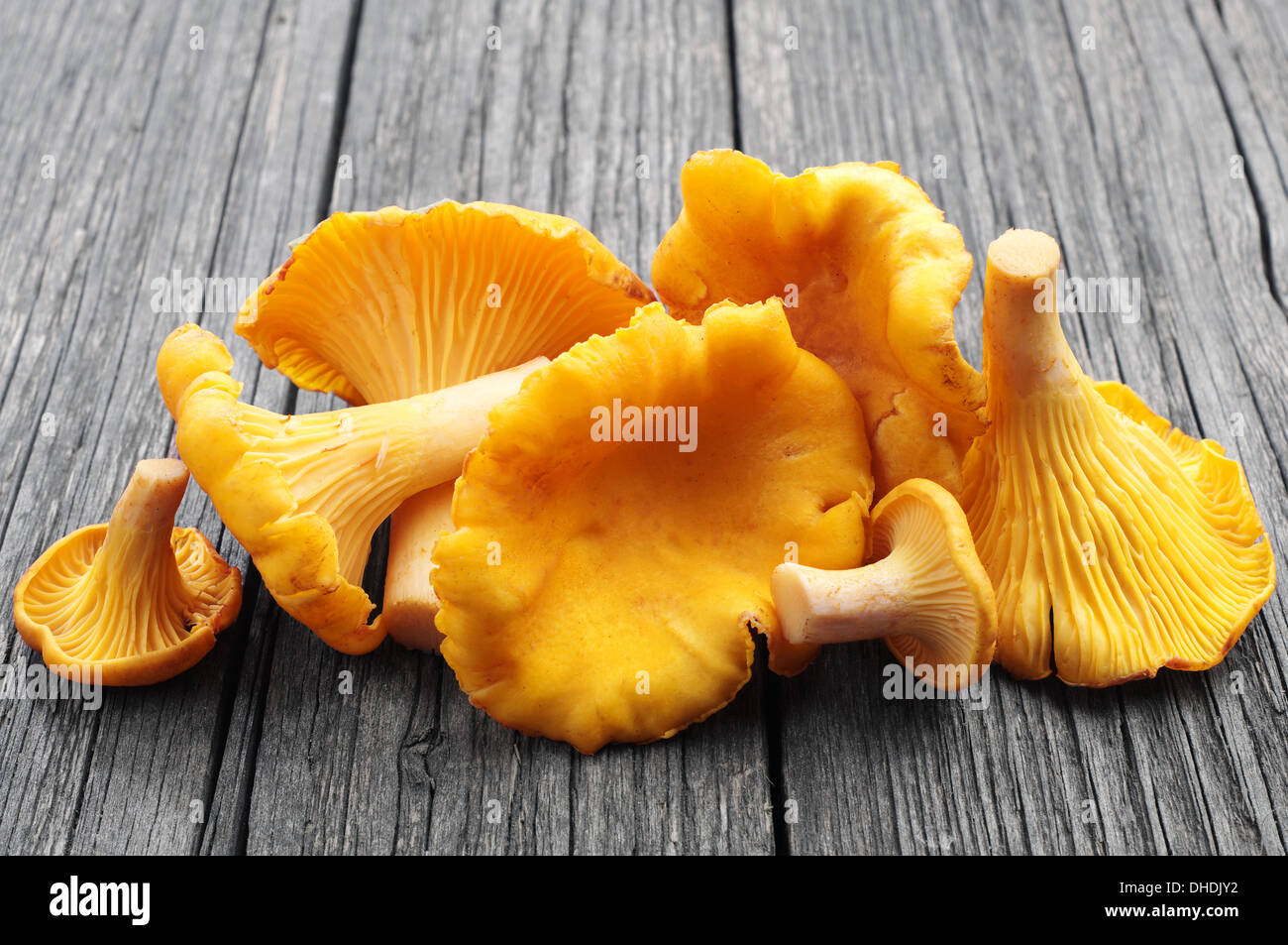 Chanterelle Mushroom Stock Photos Chanterelle Mushroom Stock Images Chanterelles Mushrooms On Wooden Background DHDJY2